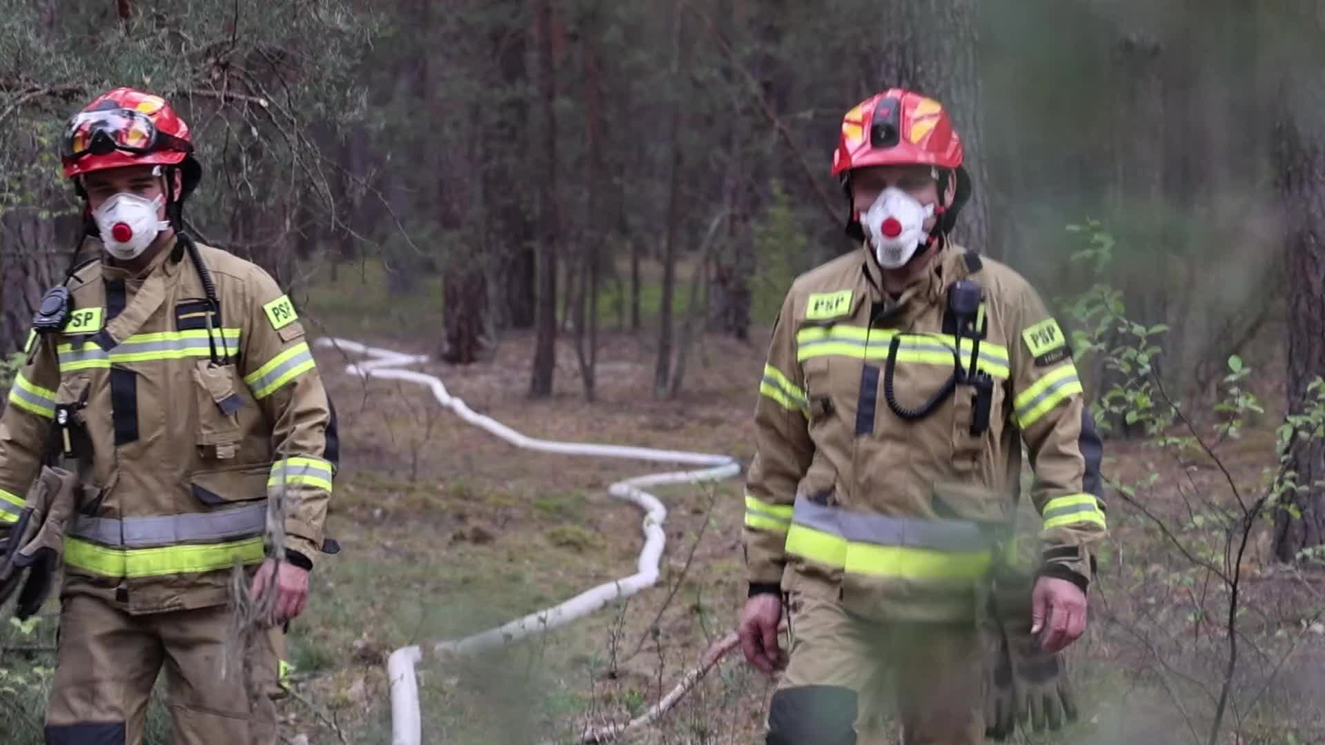 Wildfires take 1000 hectare of forest in Poland