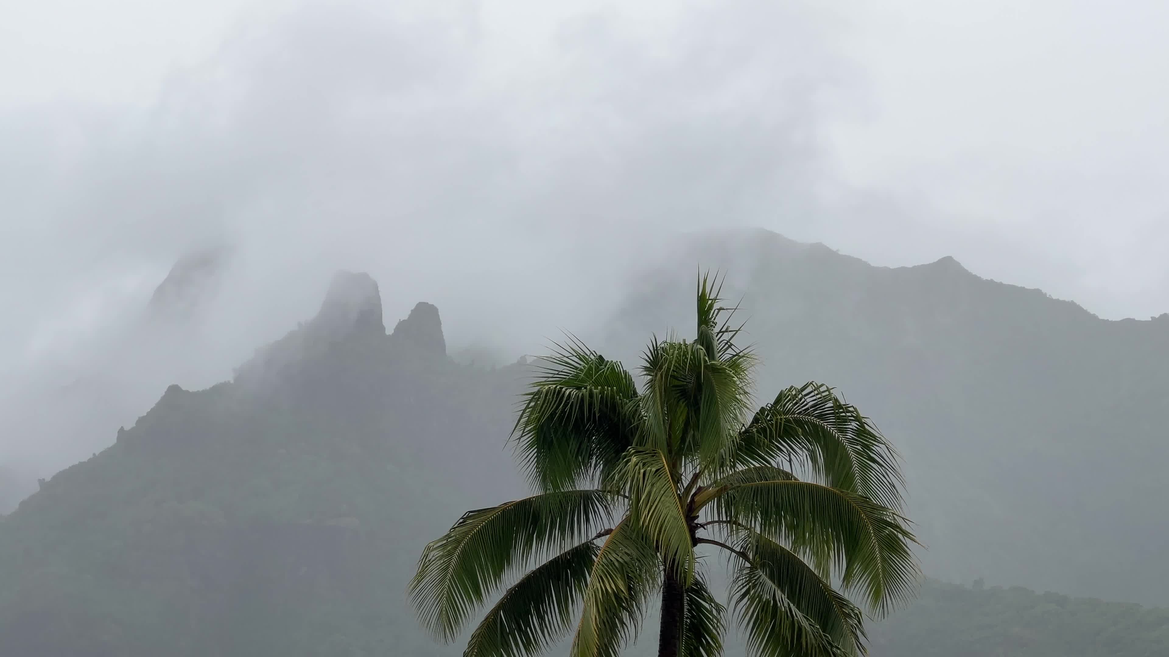 Thunderstorms and heavy rain in Moorea