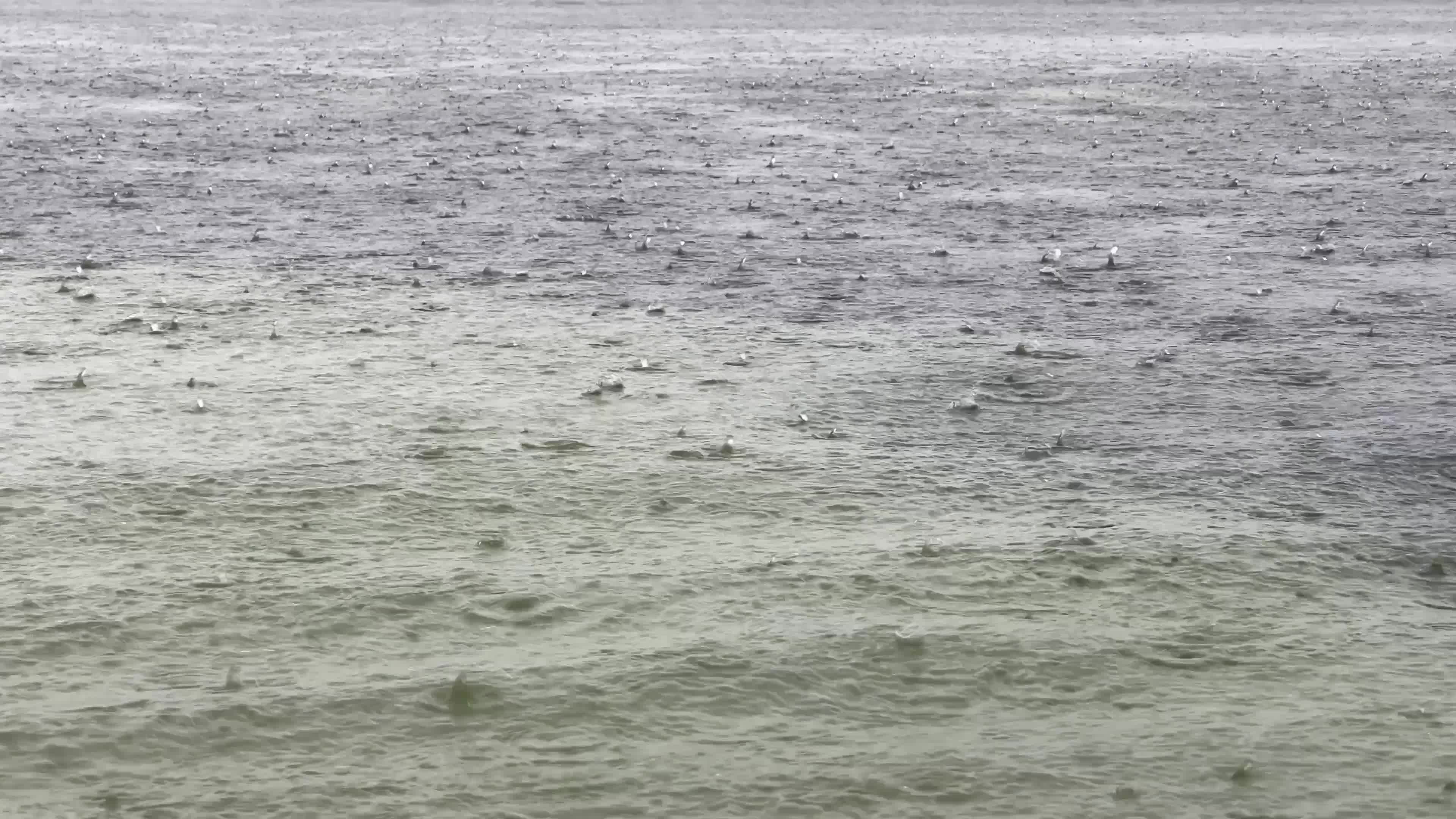 Thunderstorms and heavy rain in Moorea
