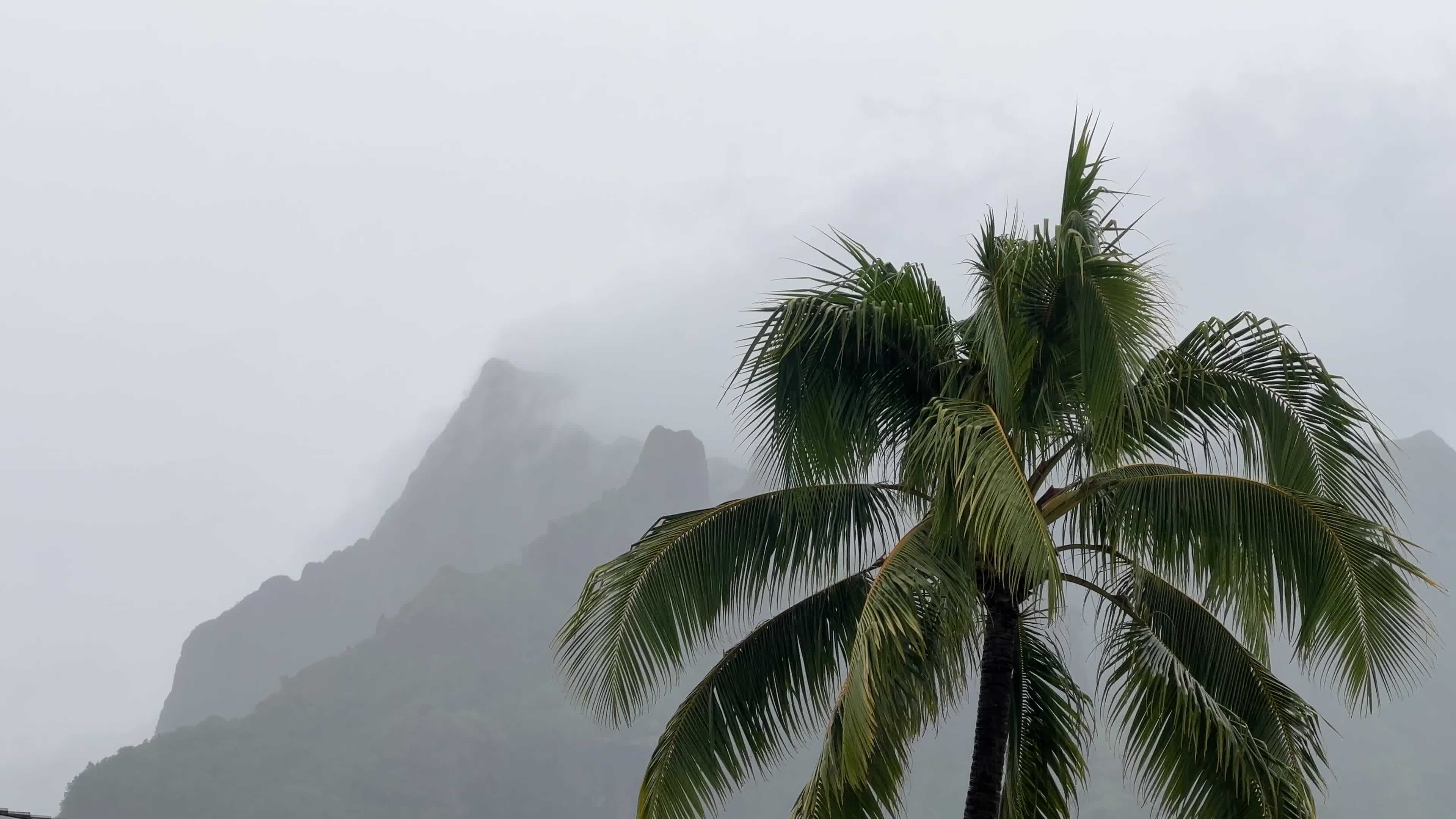 Thunderstorms and heavy rain in Moorea