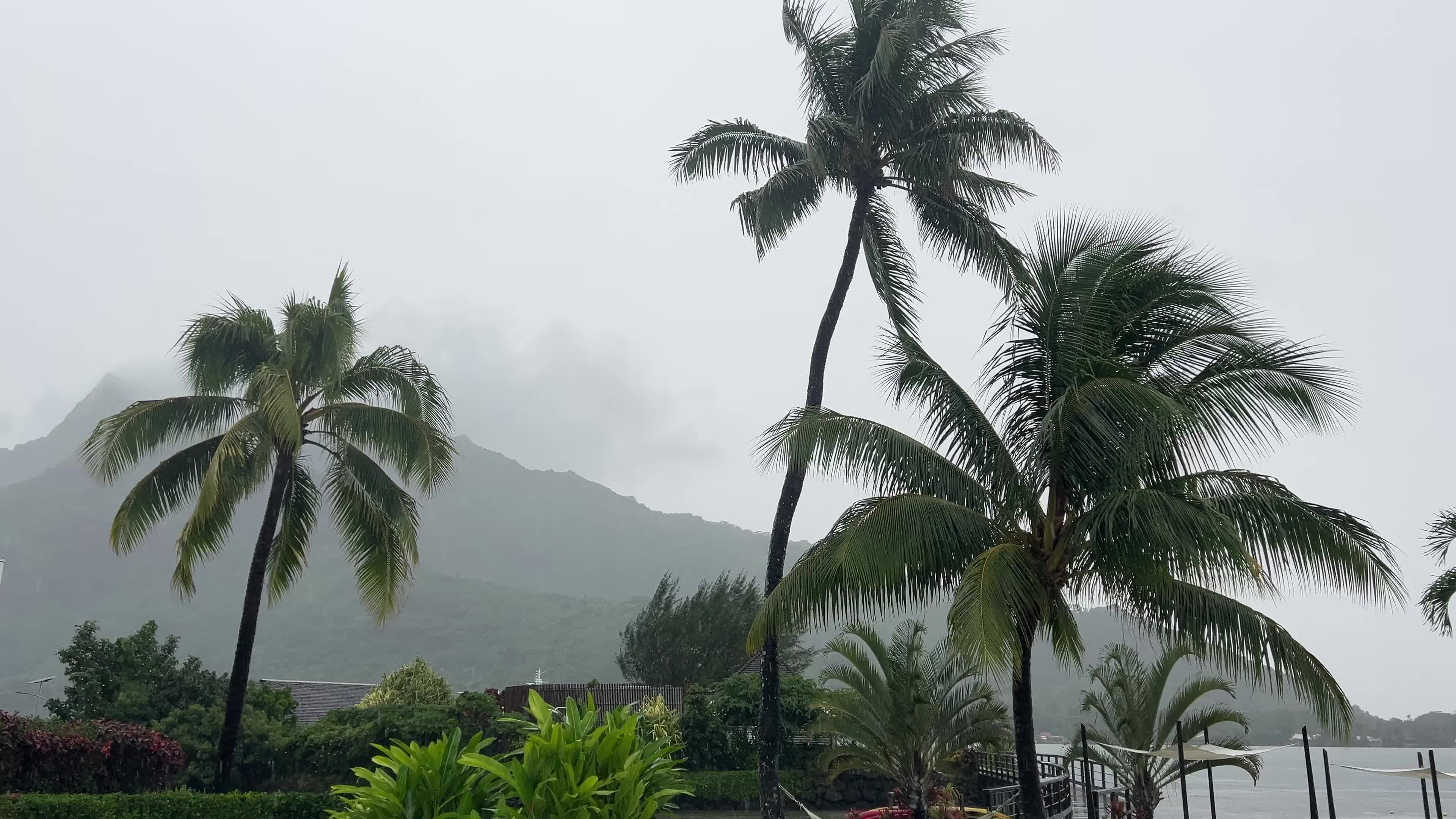 Thunderstorms and heavy rain in Moorea