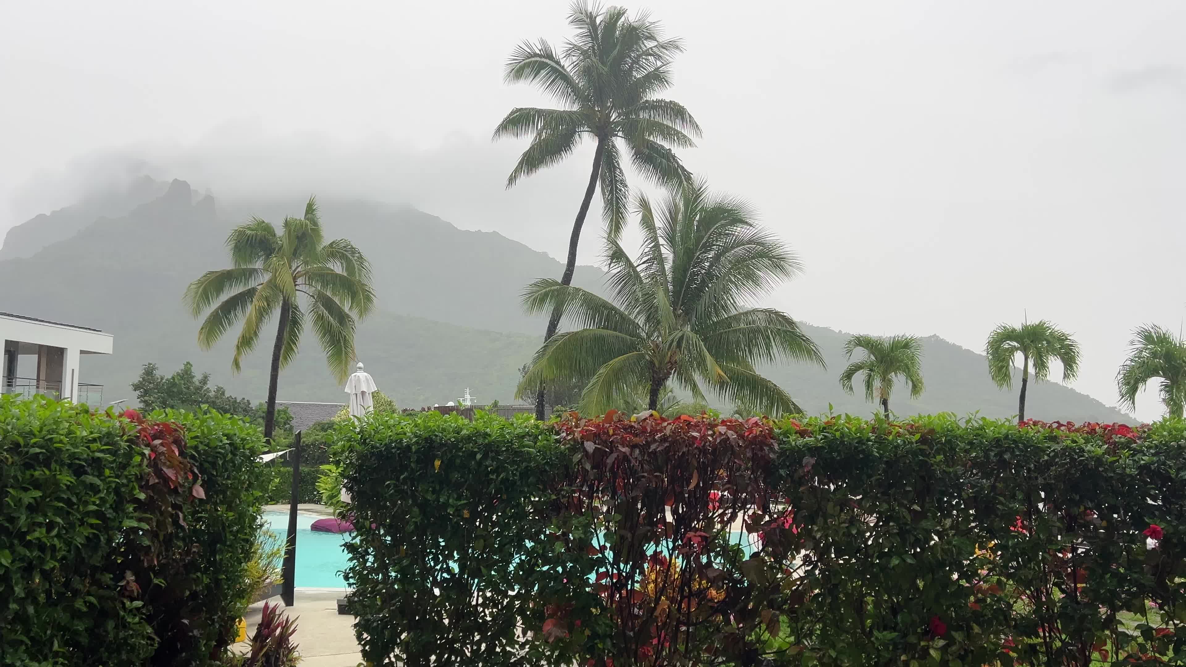 Thunderstorms and heavy rain in Moorea