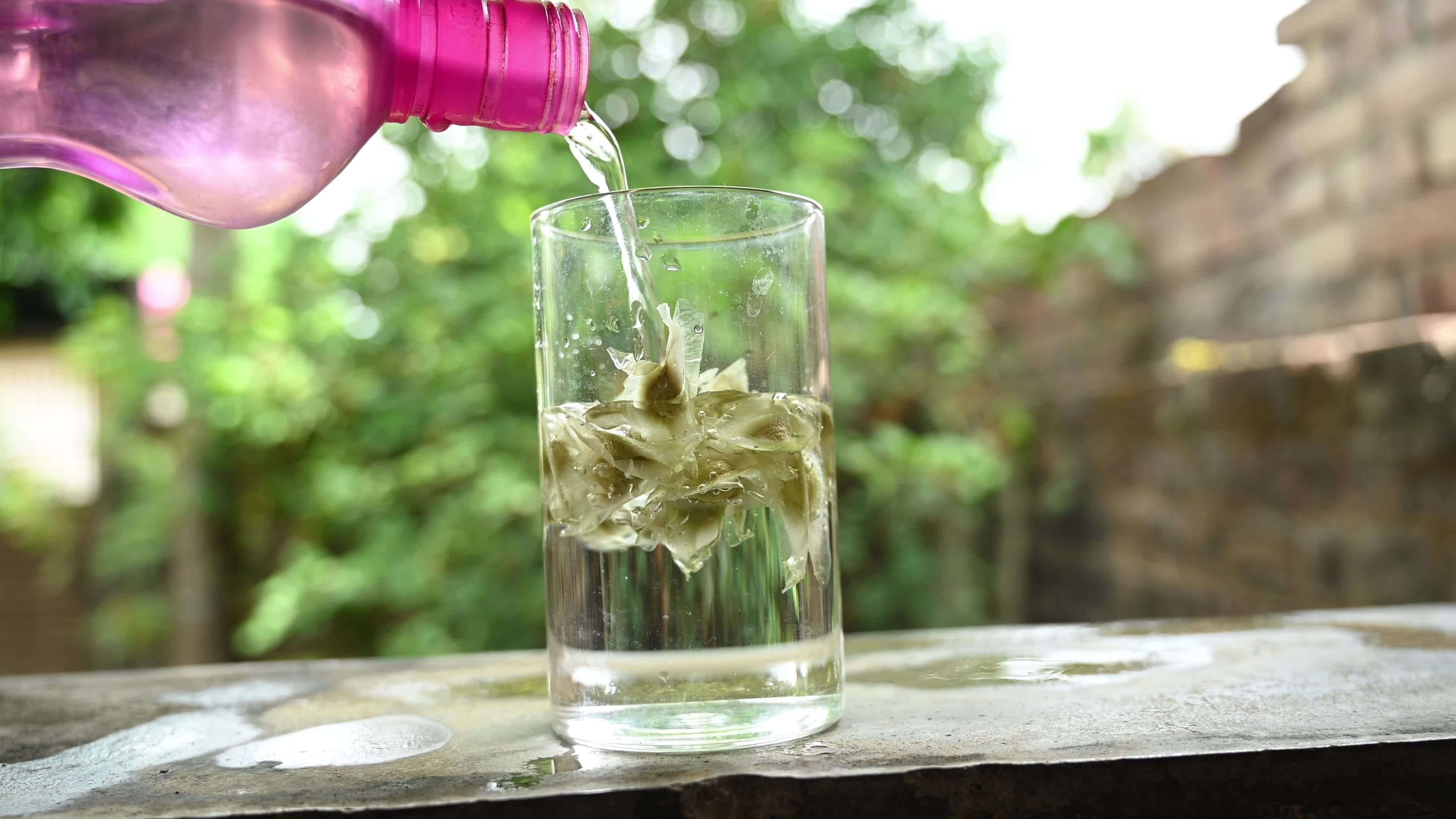 Moringa seeds - Microplastics from water