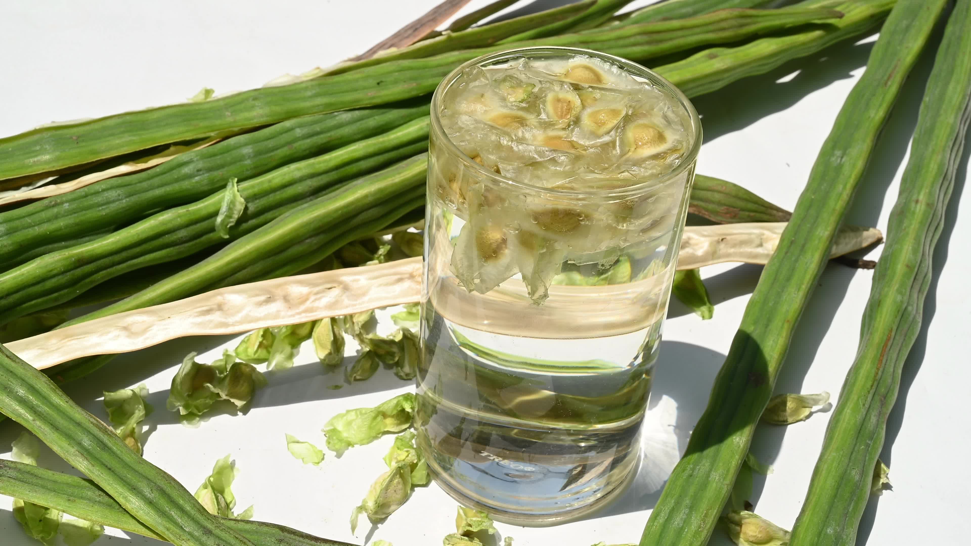 Moringa seeds - Microplastics from water