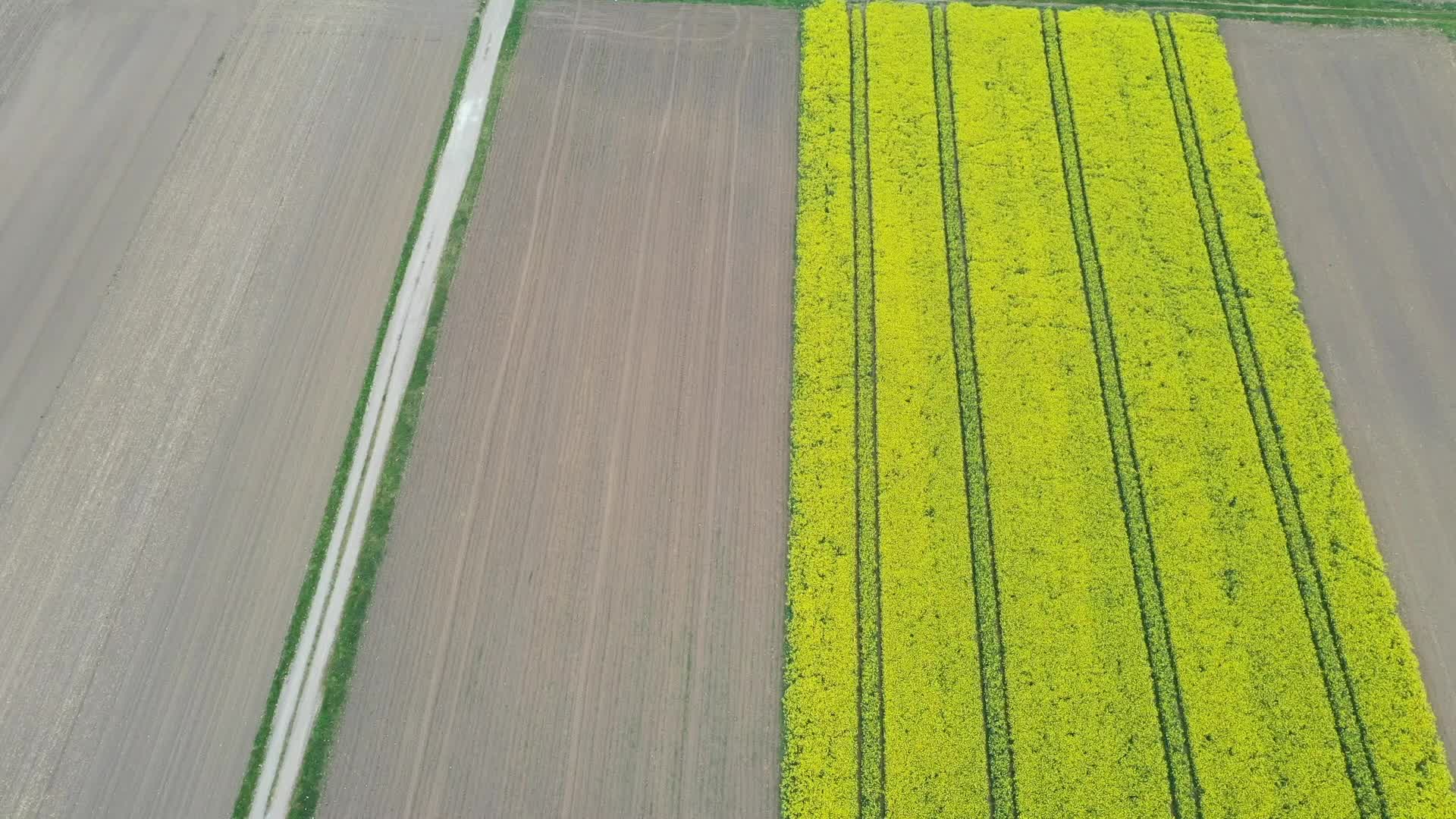 Agriculture Season In Poland