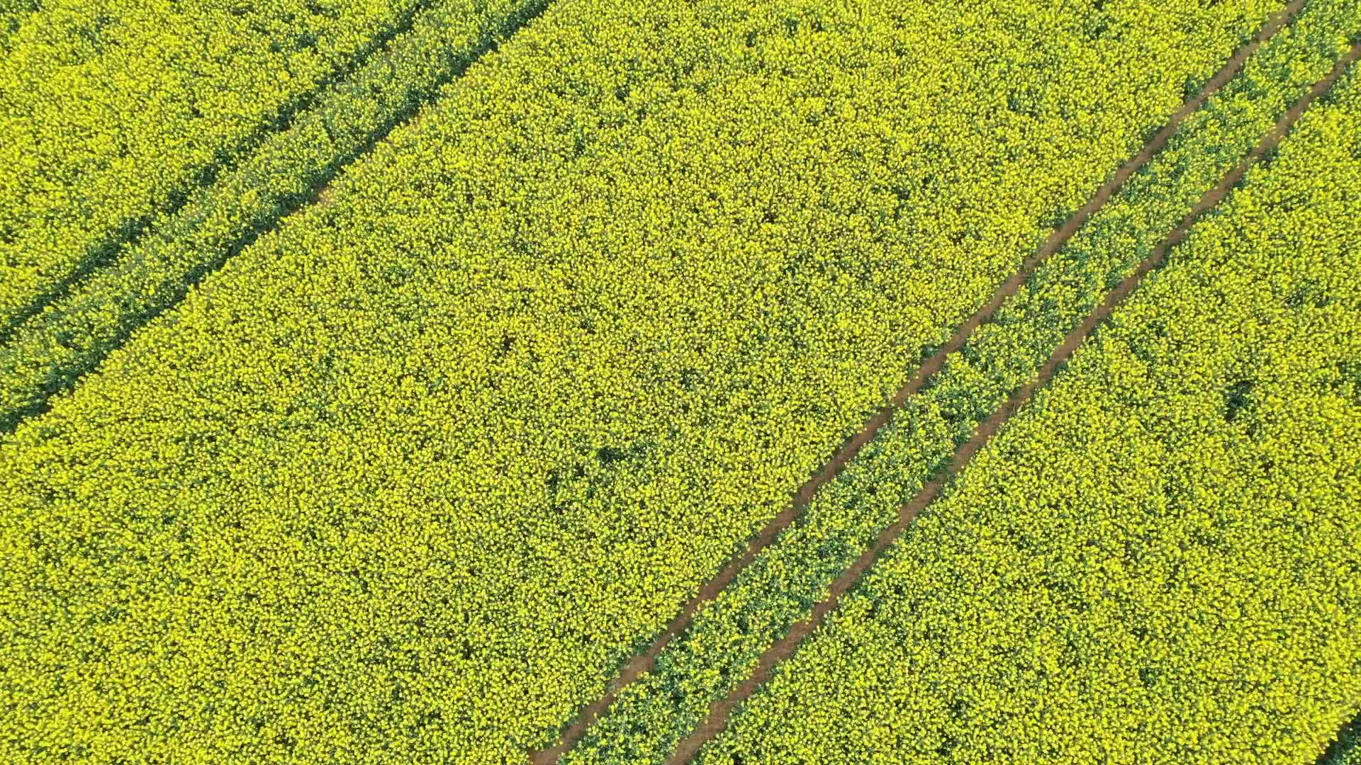 Agriculture Season In Poland