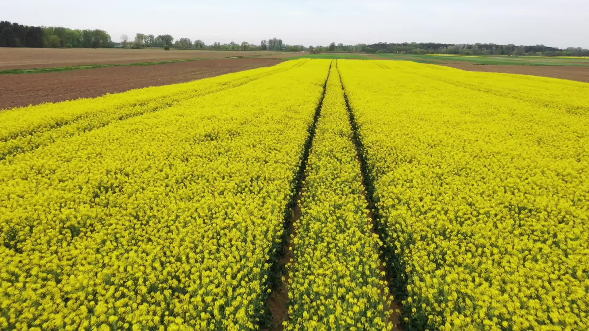 Agriculture Season In Poland