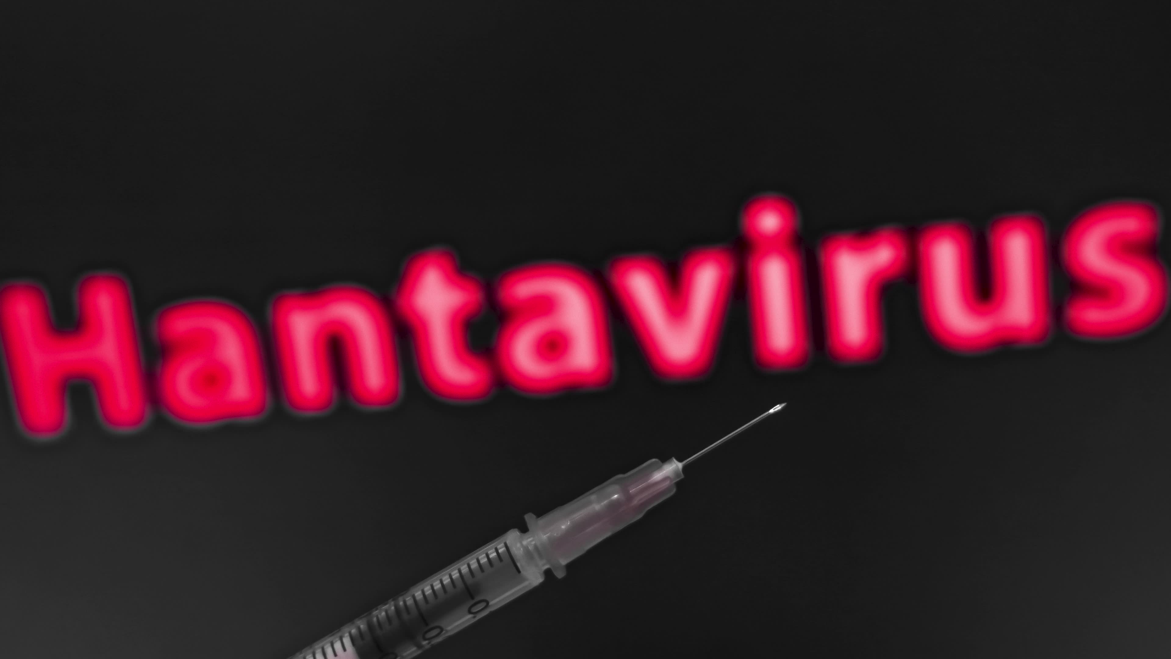 Hantavirus - World Health Organization