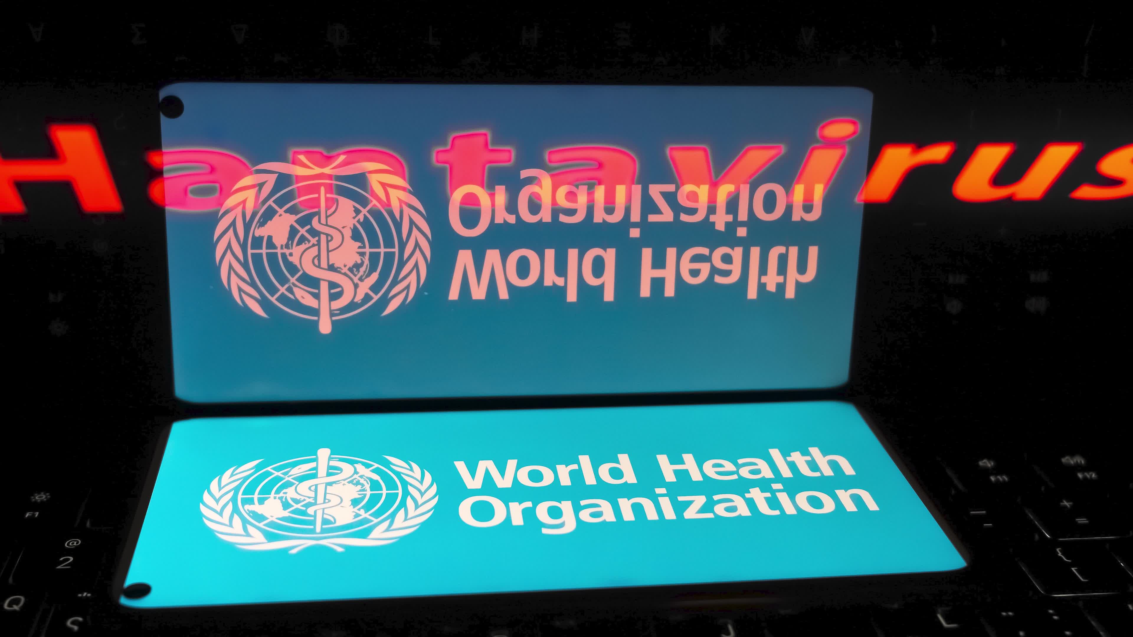 Hantavirus - World Health Organization