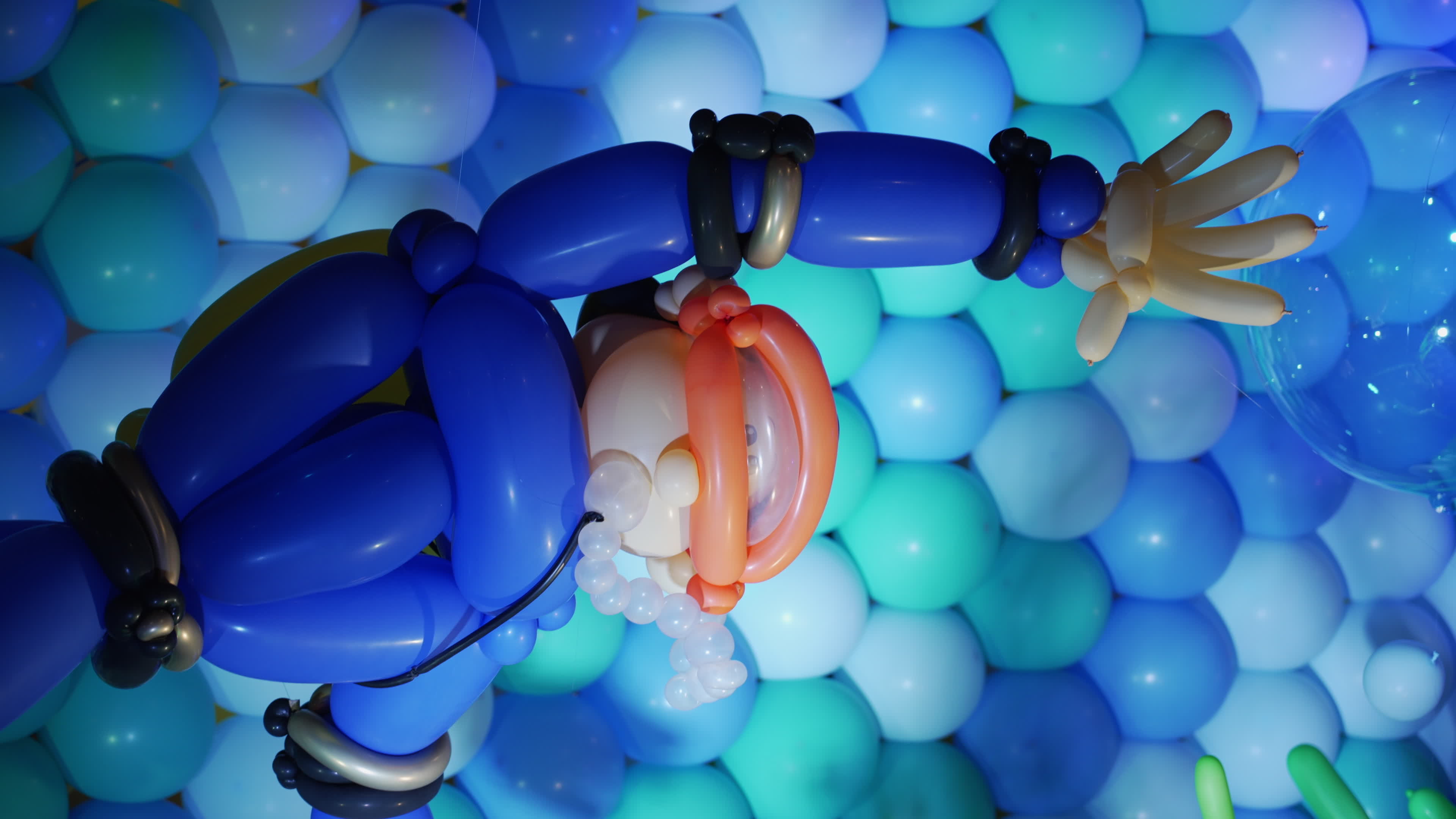 World Balloon Festival in Warsaw