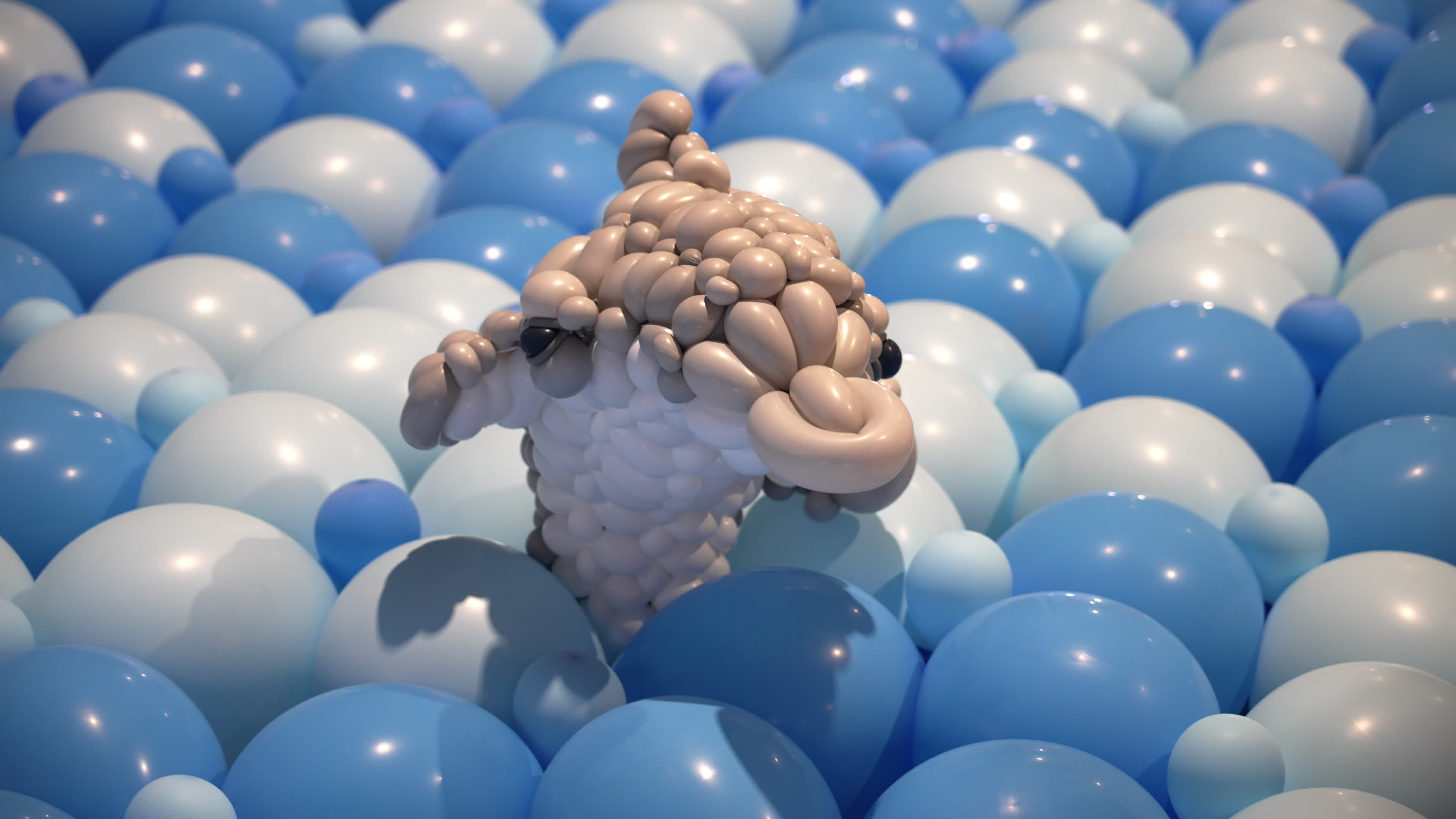World Balloon Festival in Warsaw