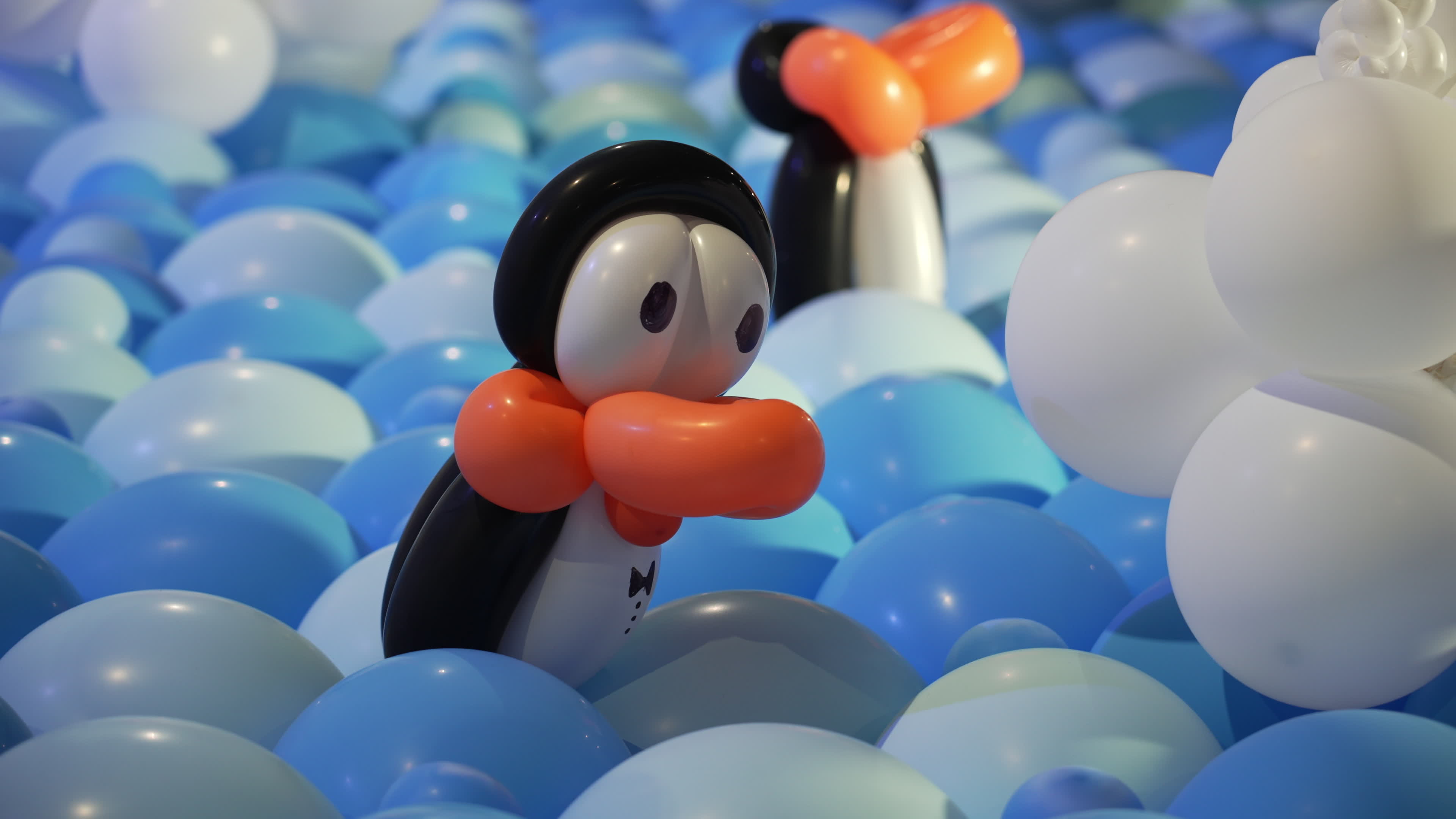 World Balloon Festival in Warsaw