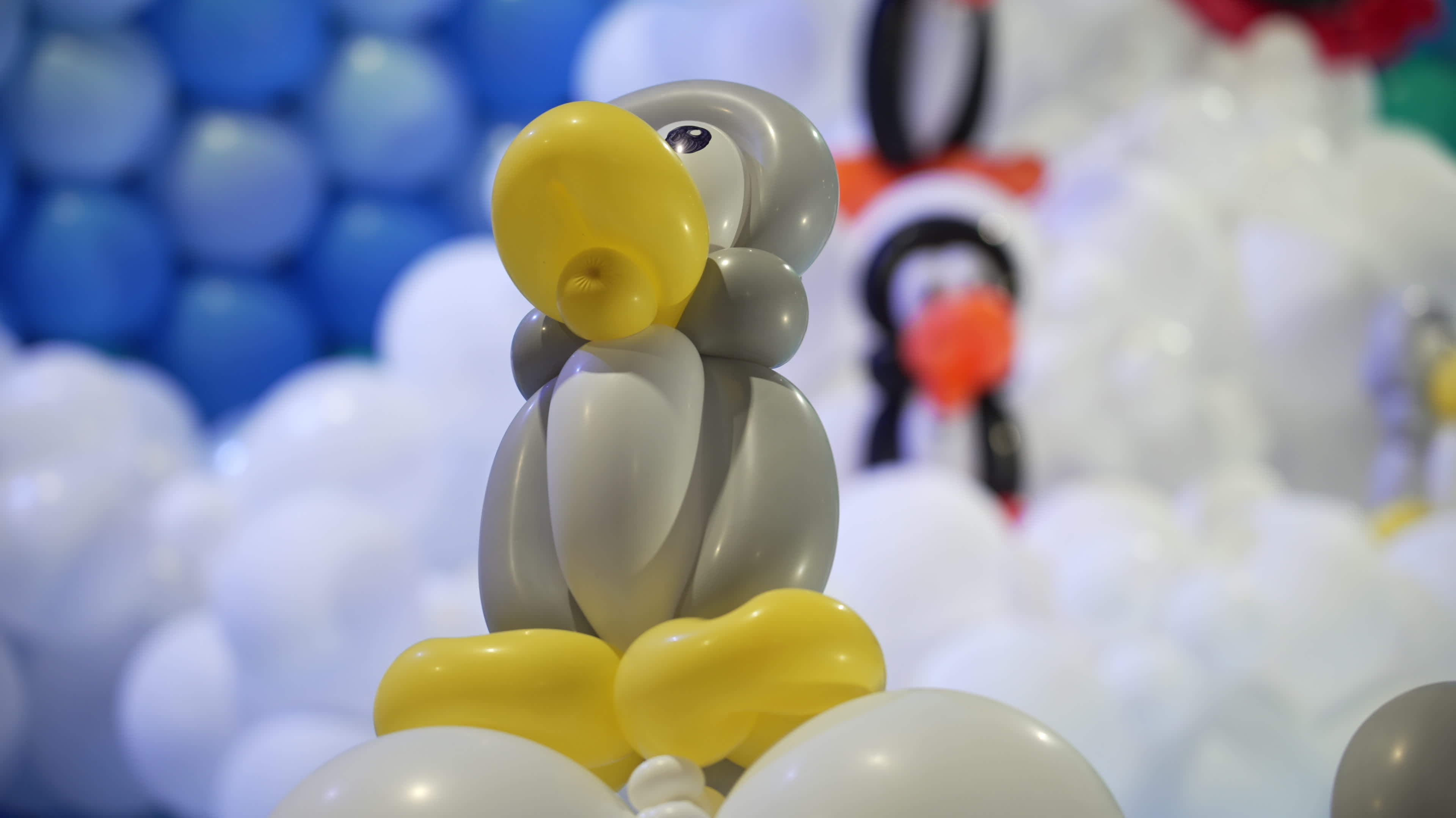 World Balloon Festival in Warsaw