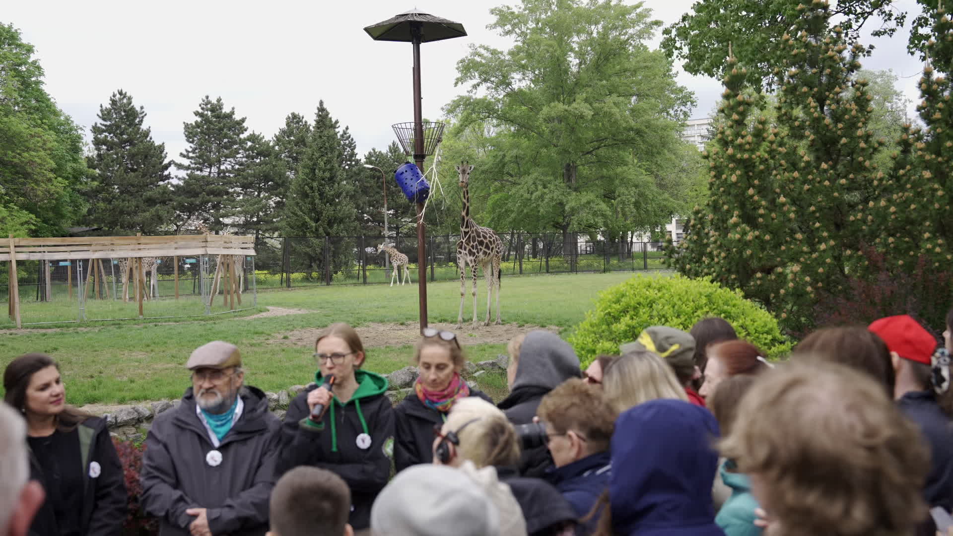 Warsaw Zoo's youngeset giraffe finds new home