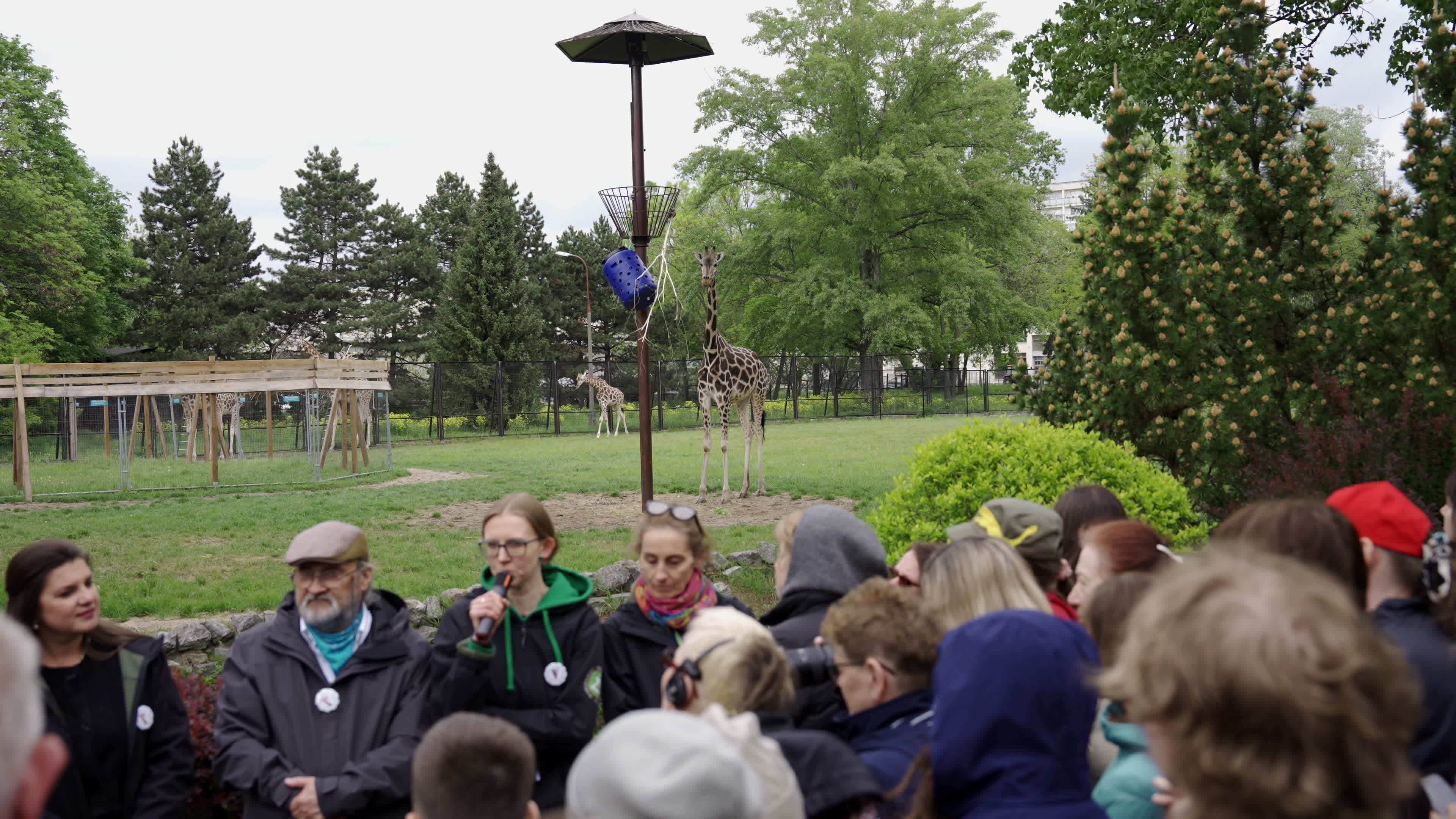 Warsaw Zoo's youngeset giraffe finds new home