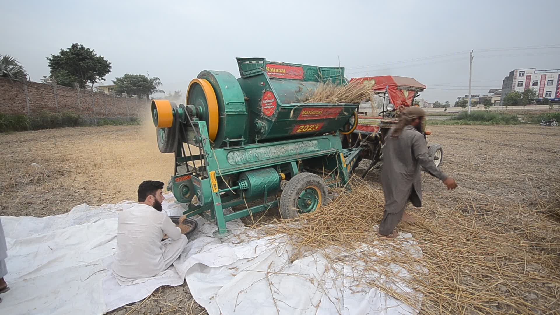 Pakistani farmer threshes wheat after harvest in rural Pakistan