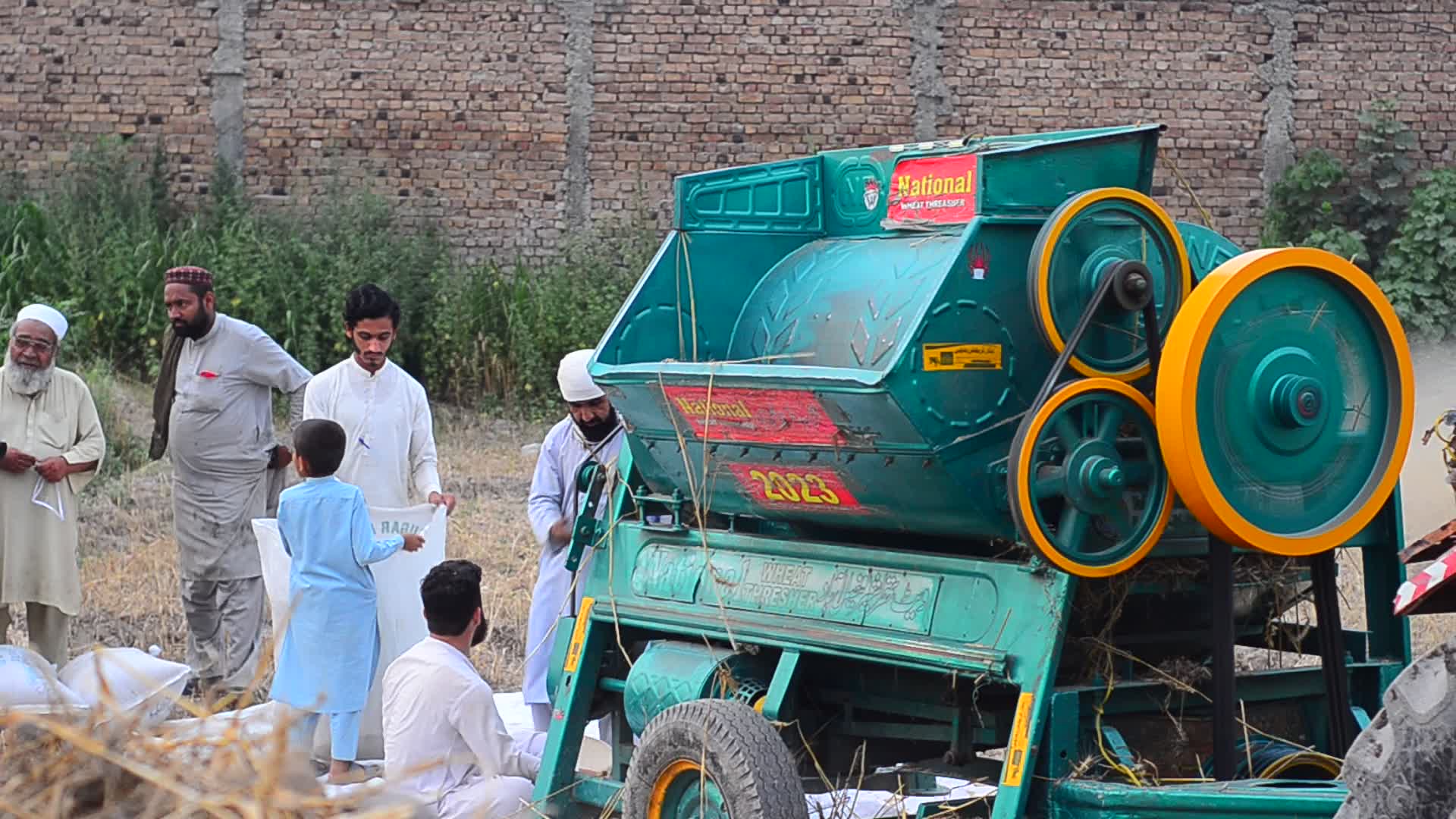 Pakistani farmer threshes wheat after harvest in rural Pakistan