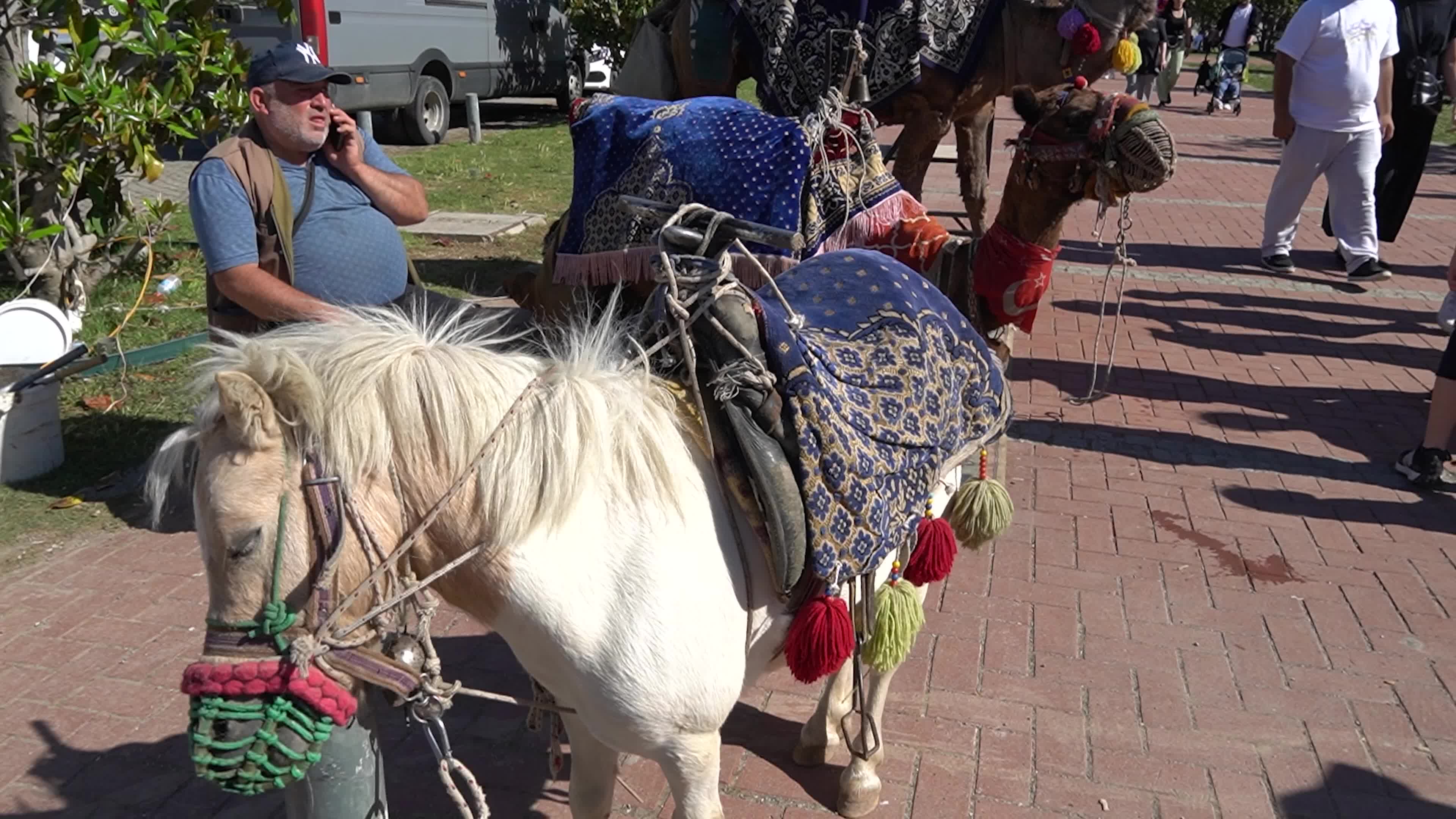 Black Sea Promotion Days festival