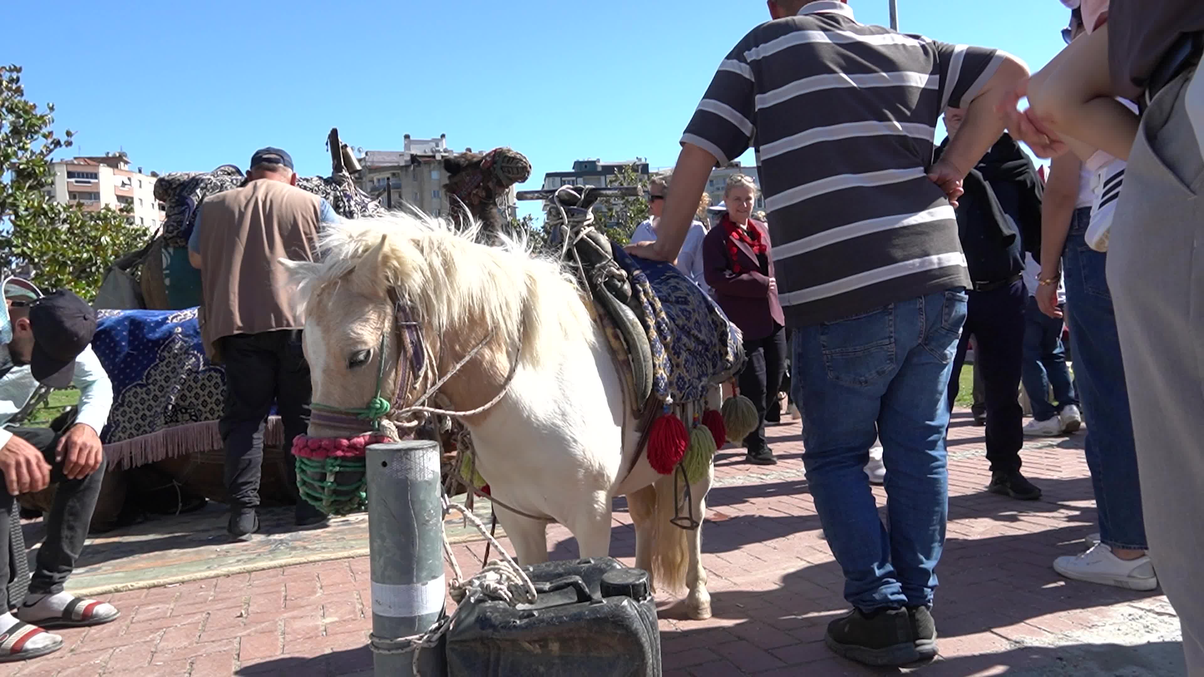 Black Sea Promotion Days festival