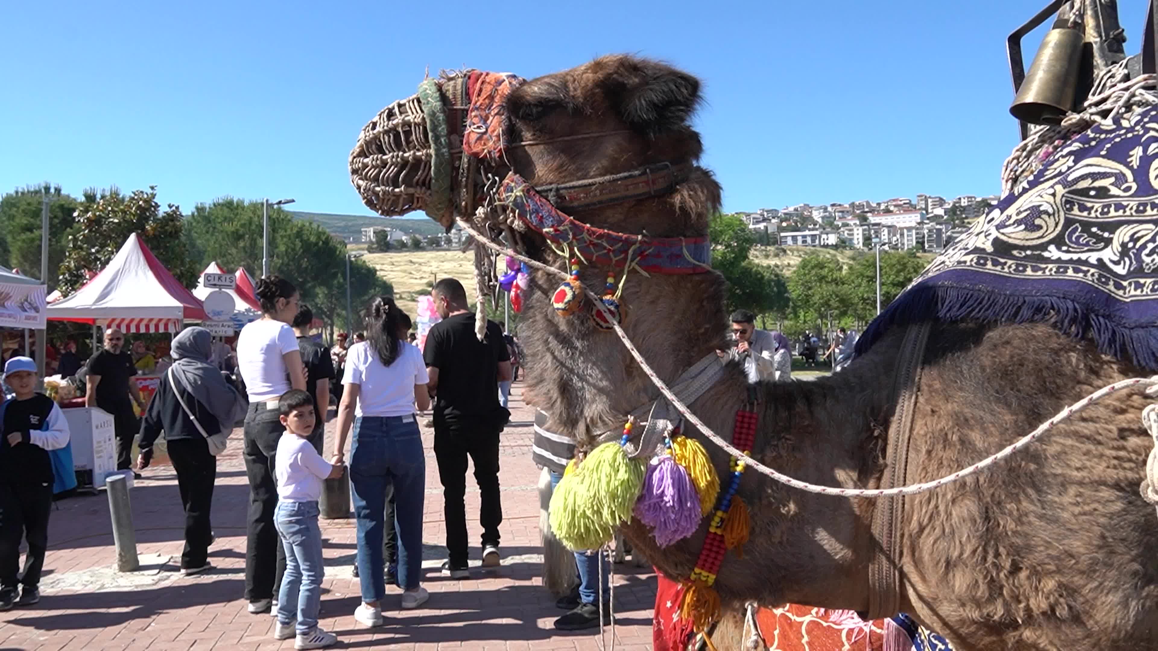 Black Sea Promotion Days festival