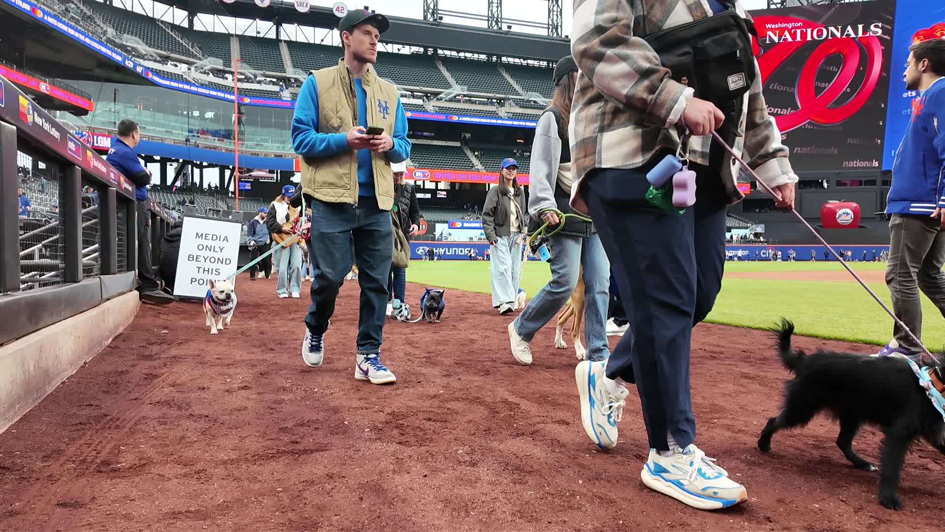 Bark in the Park