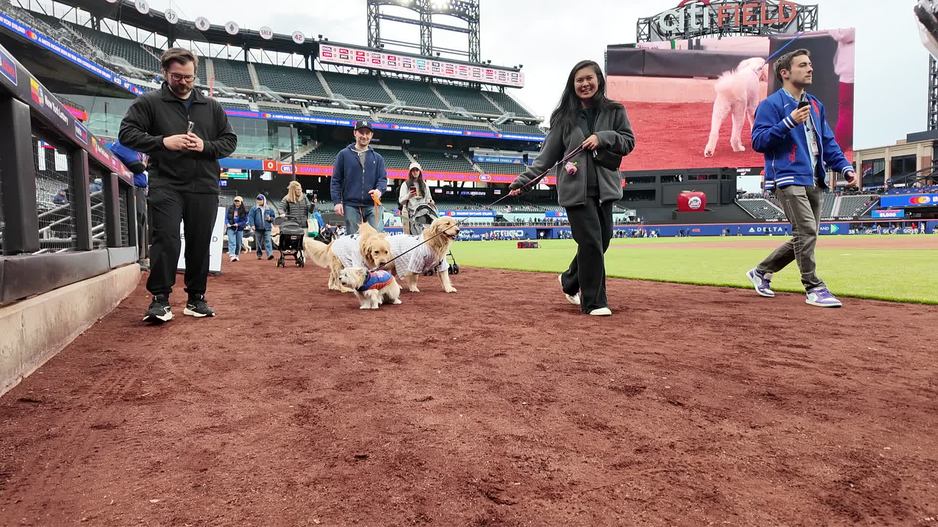 Bark in the Park