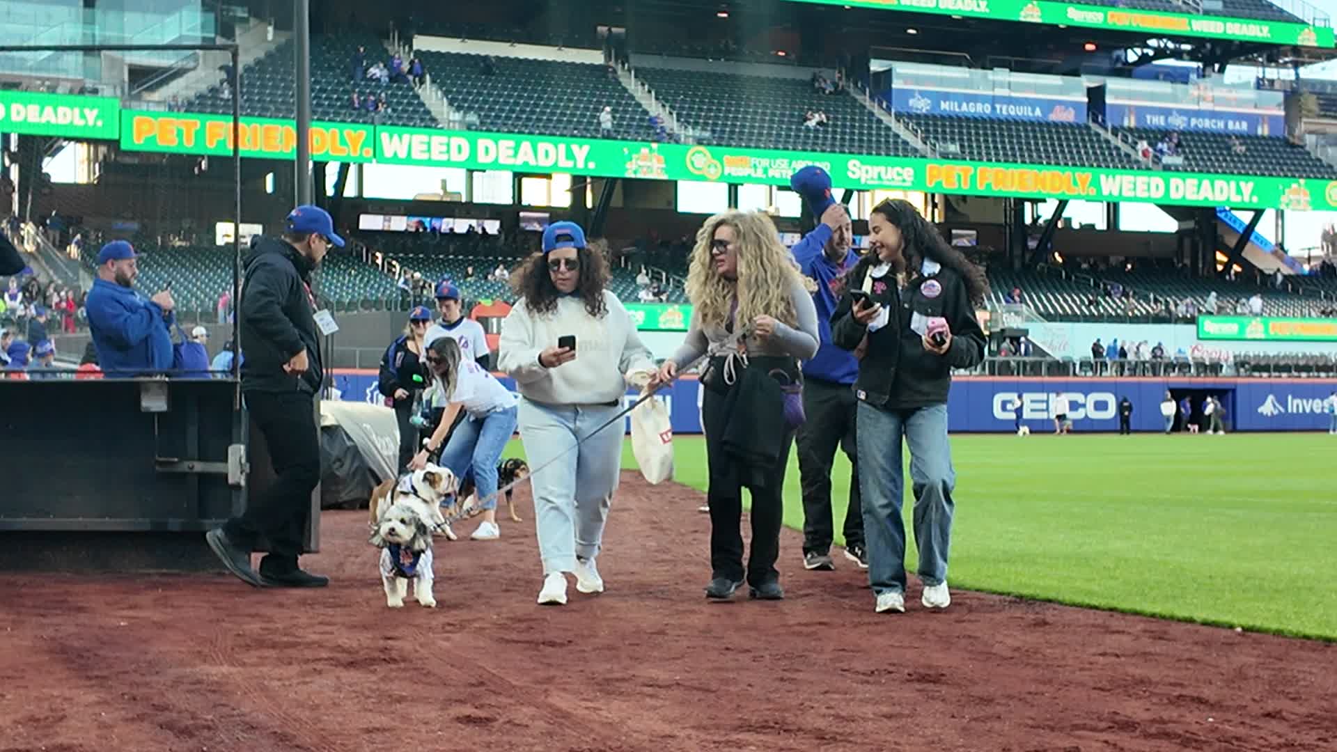Bark in the Park