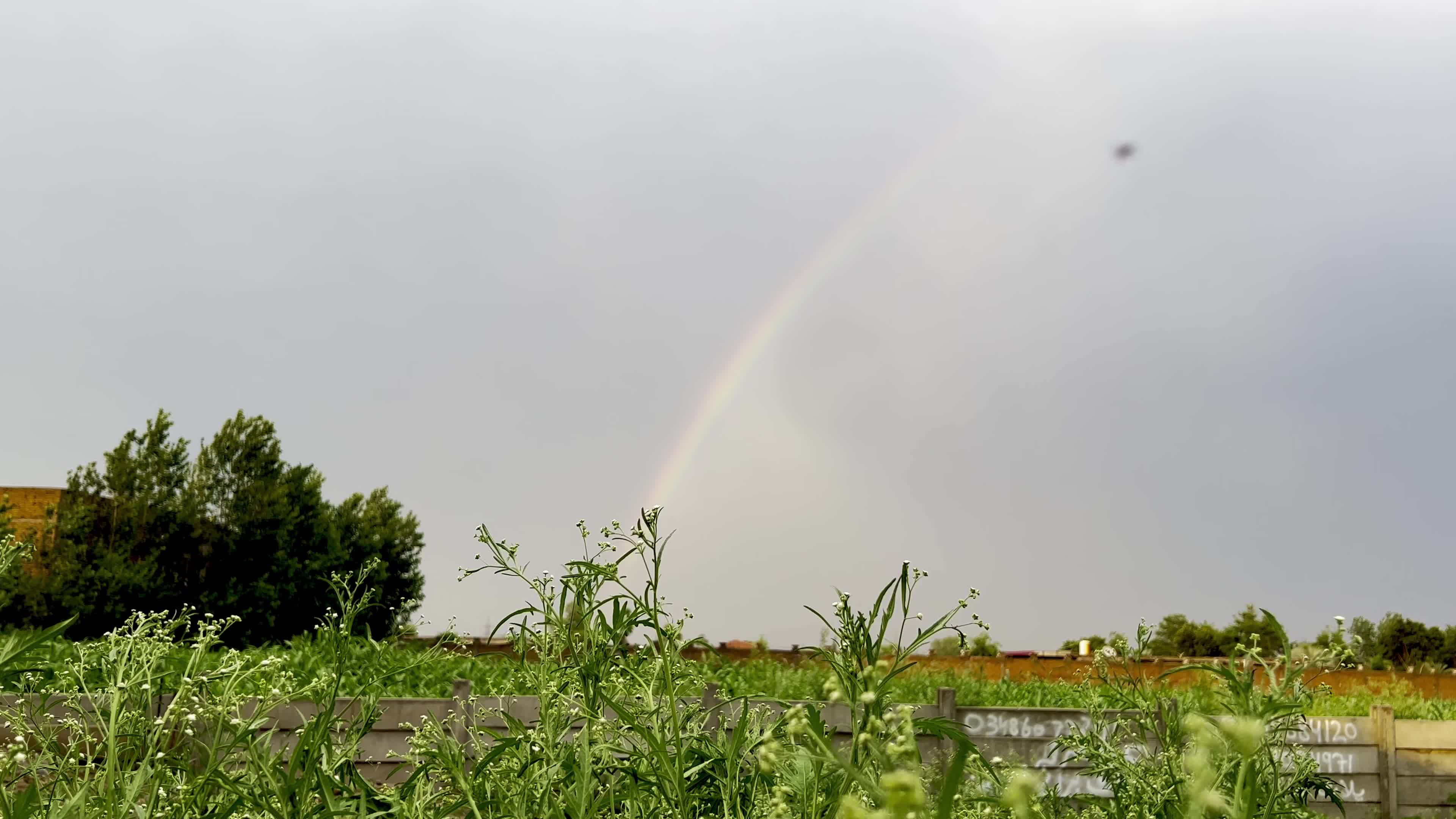 Rainbow Lights Up the Sky Over Peshawar
