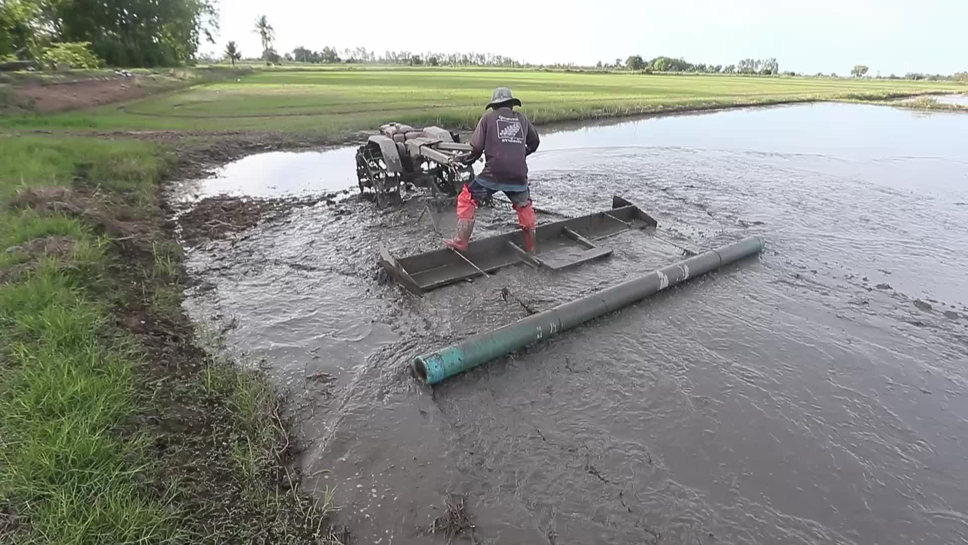 A farmer clear rice field