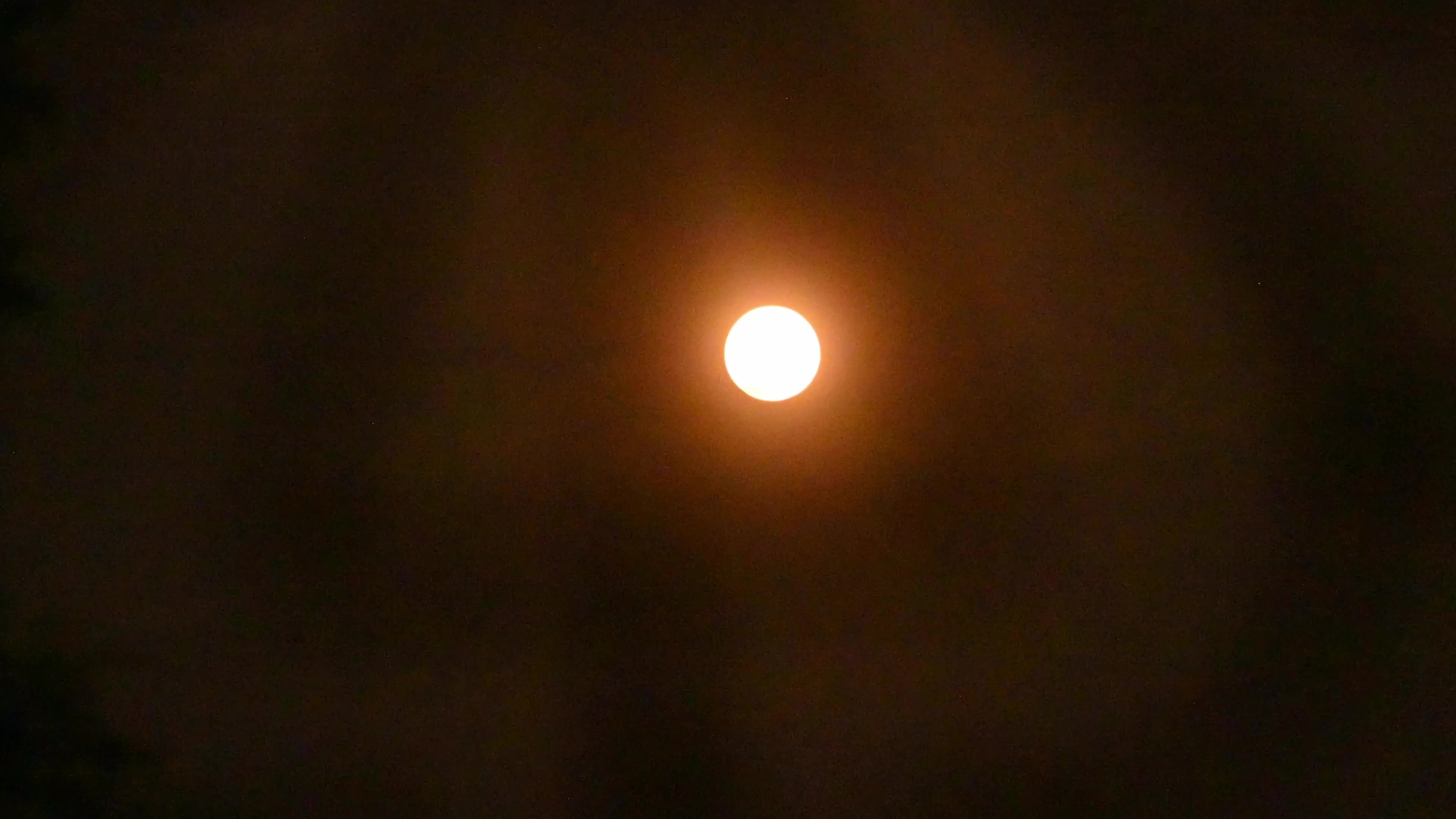 Flower Moon - May Full Moon