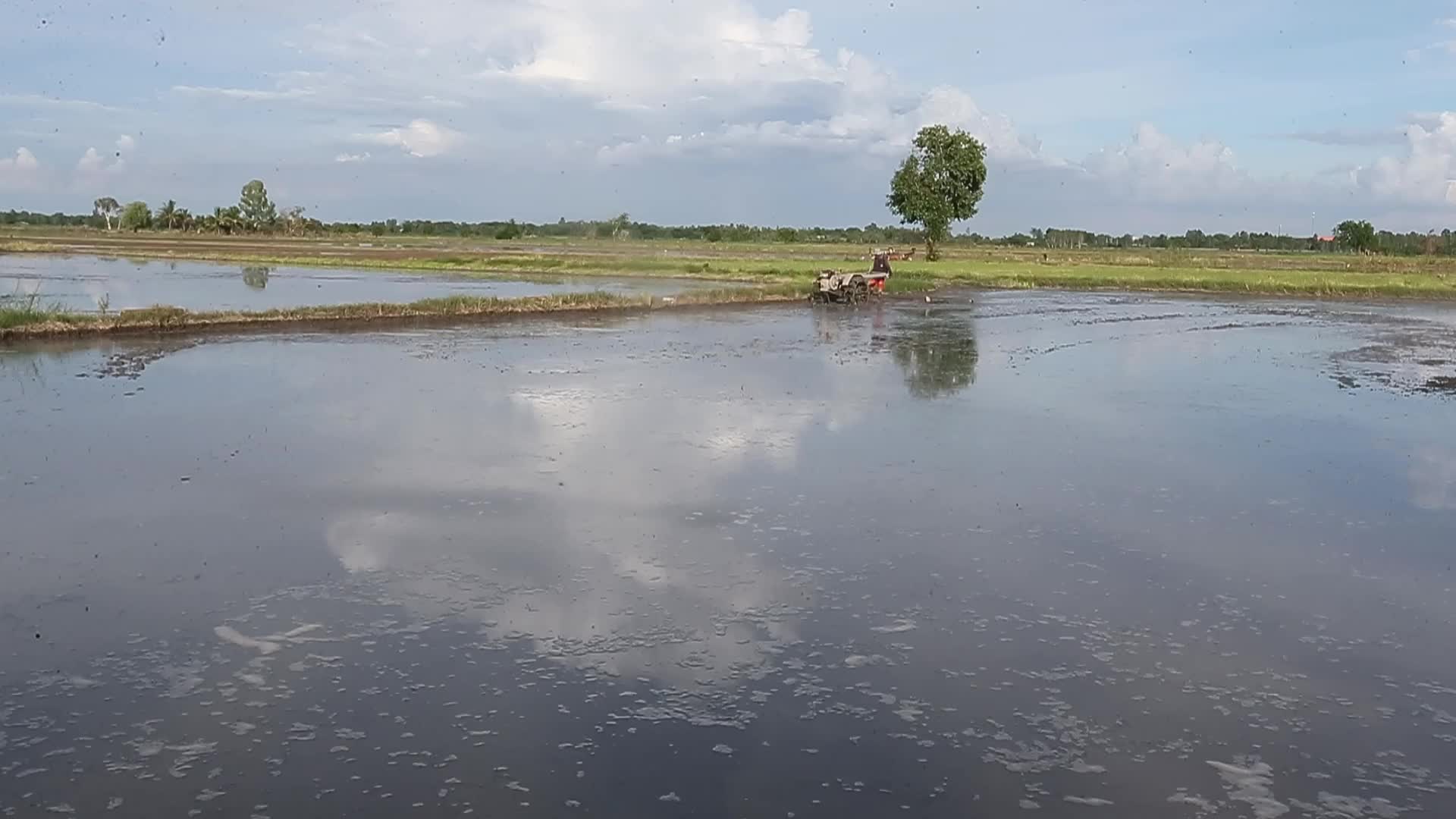 A farmer clear rice field