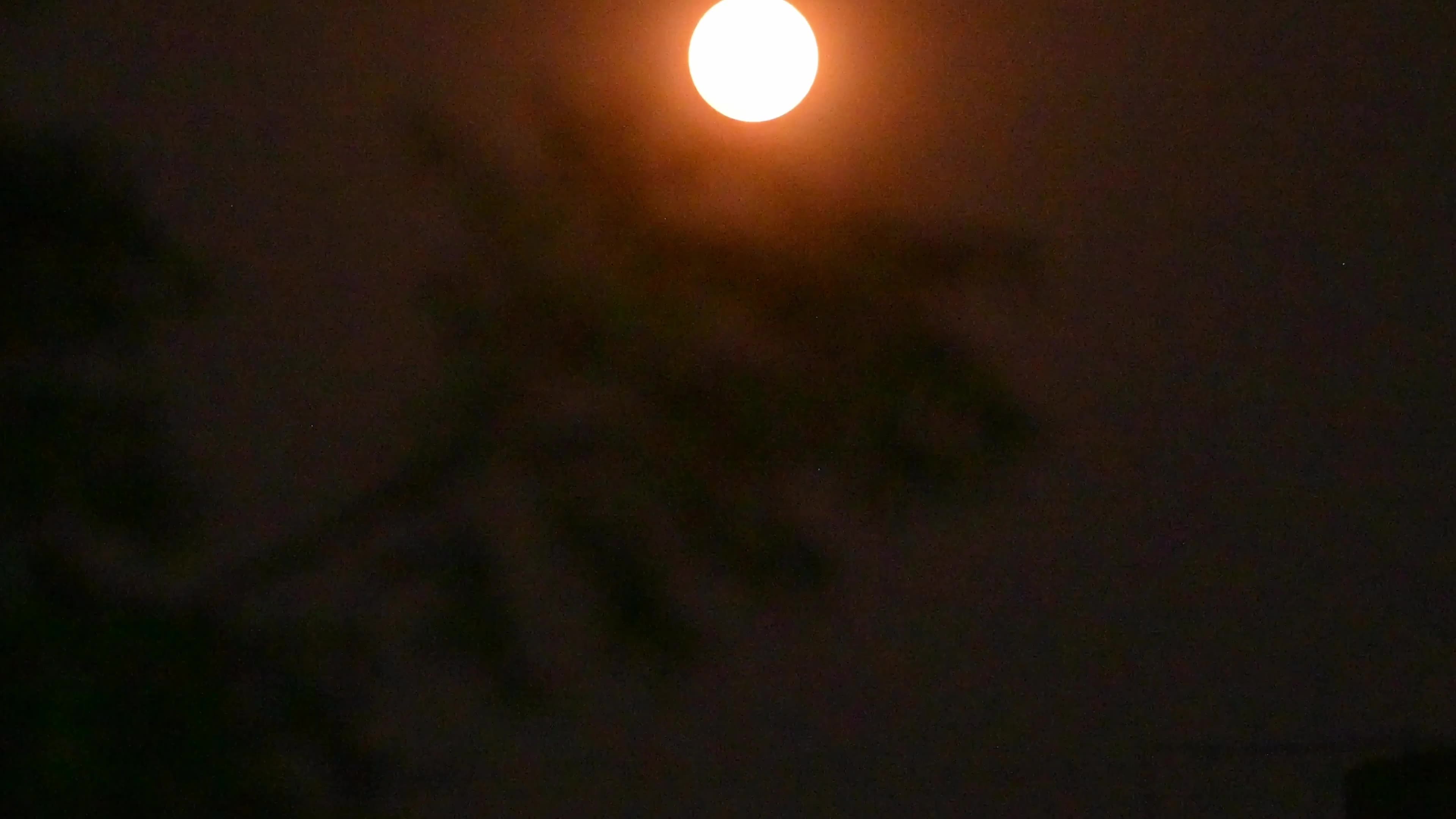 Flower Moon - May Full Moon