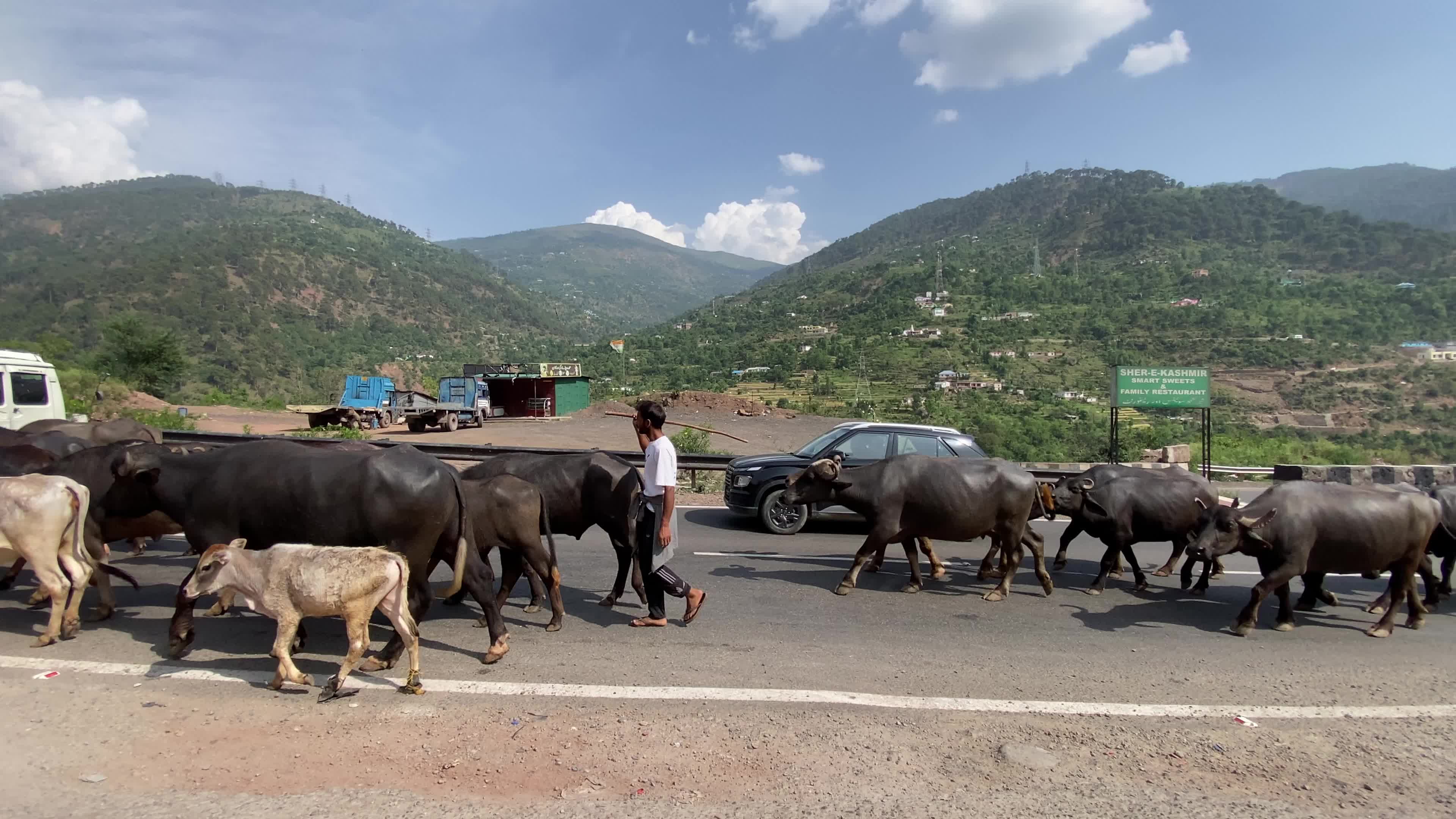 Daily Life In Srinagar, India