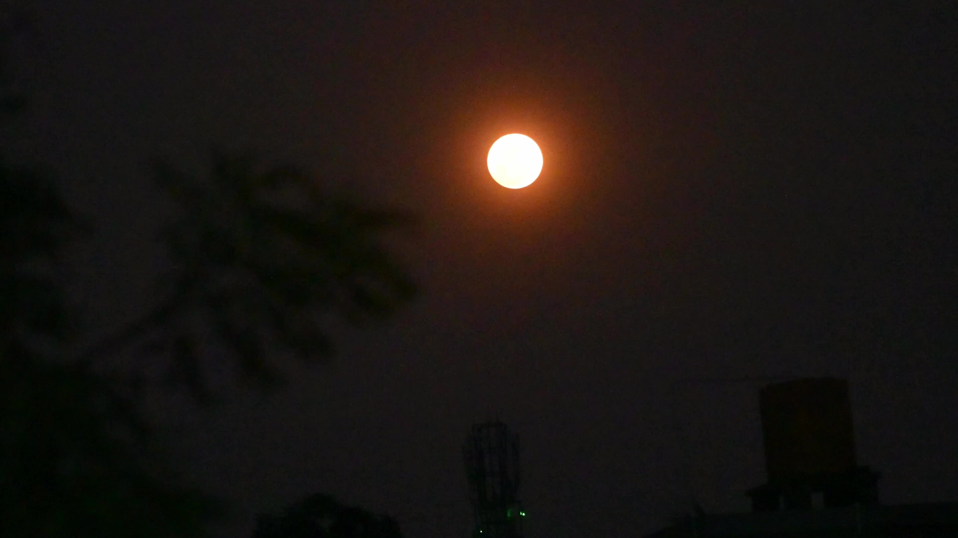Flower Moon - May Full Moon