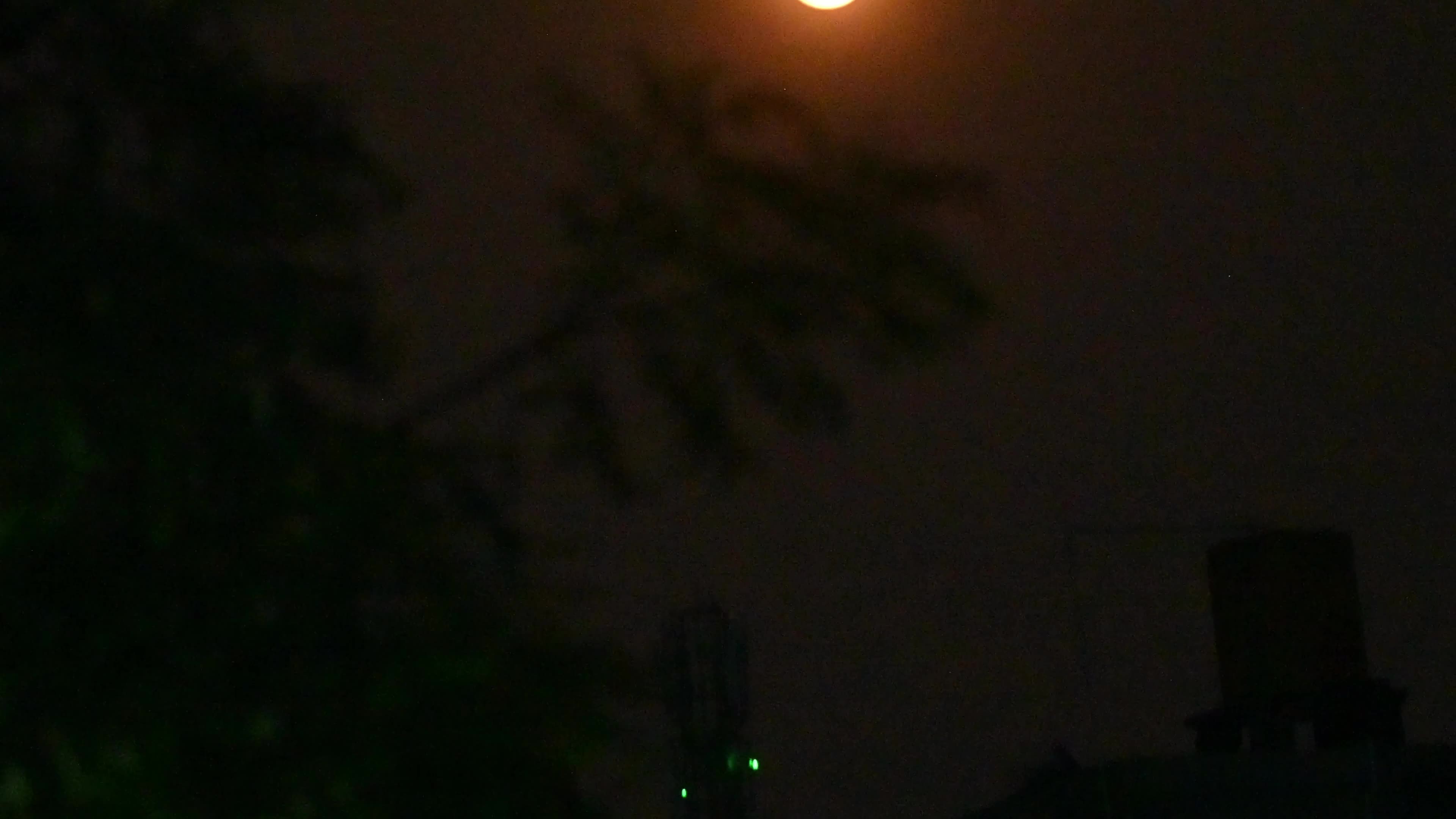 Flower Moon - May Full Moon