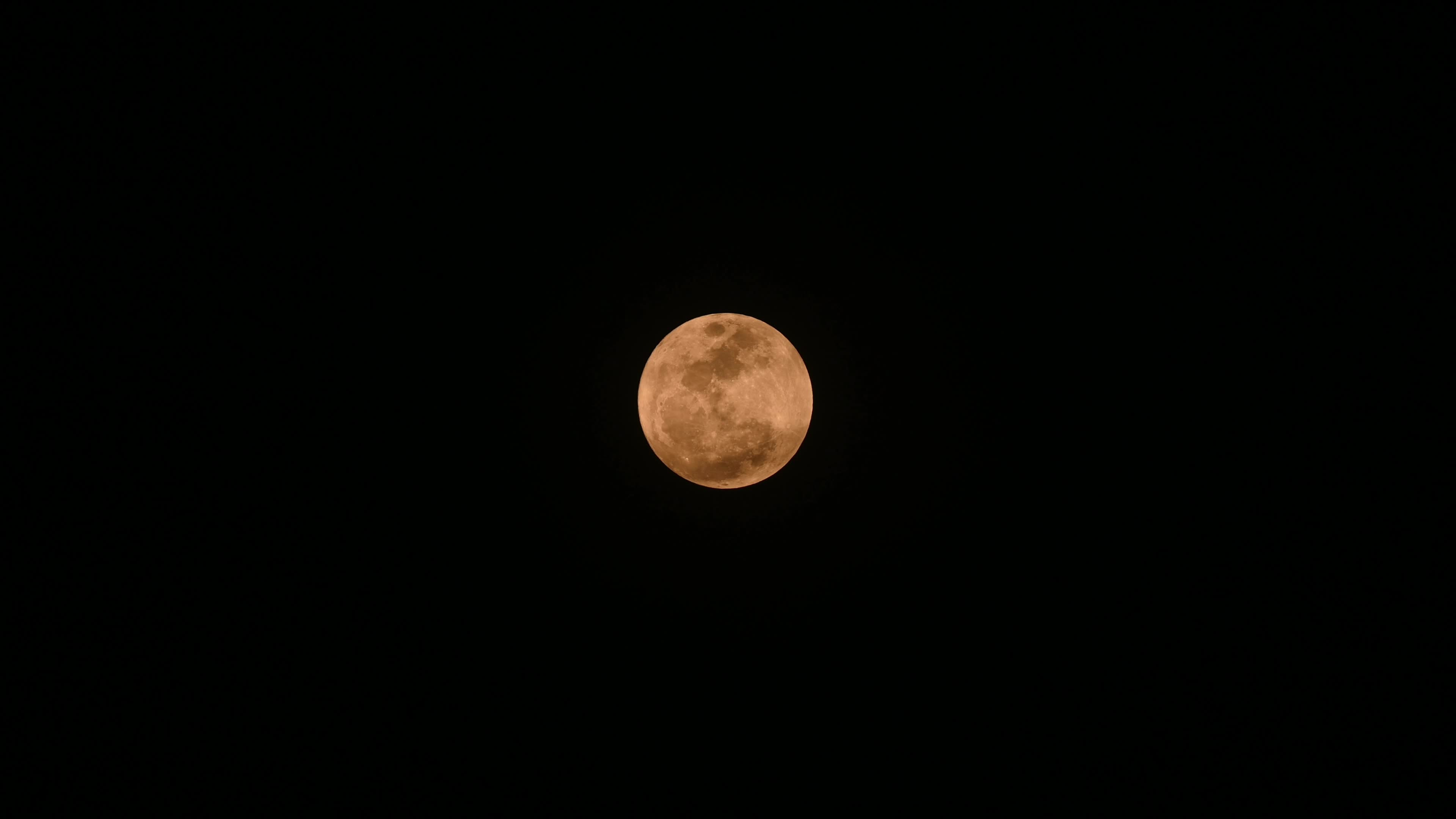 Flower Moon - May Full Moon