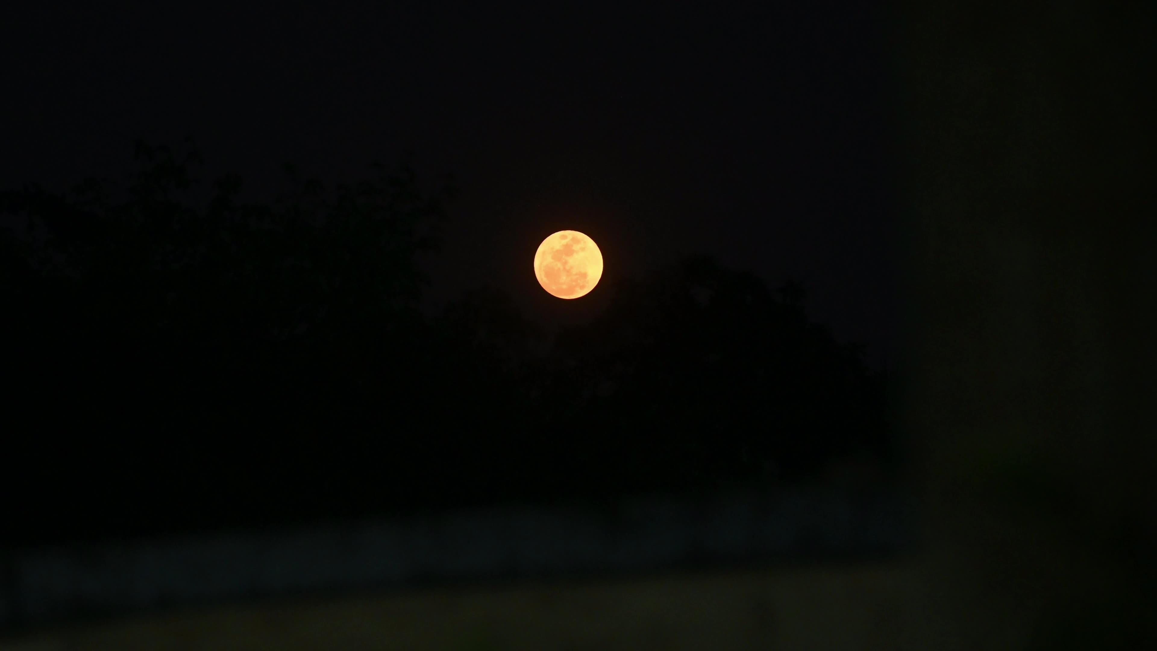 Flower Moon - May Full Moon