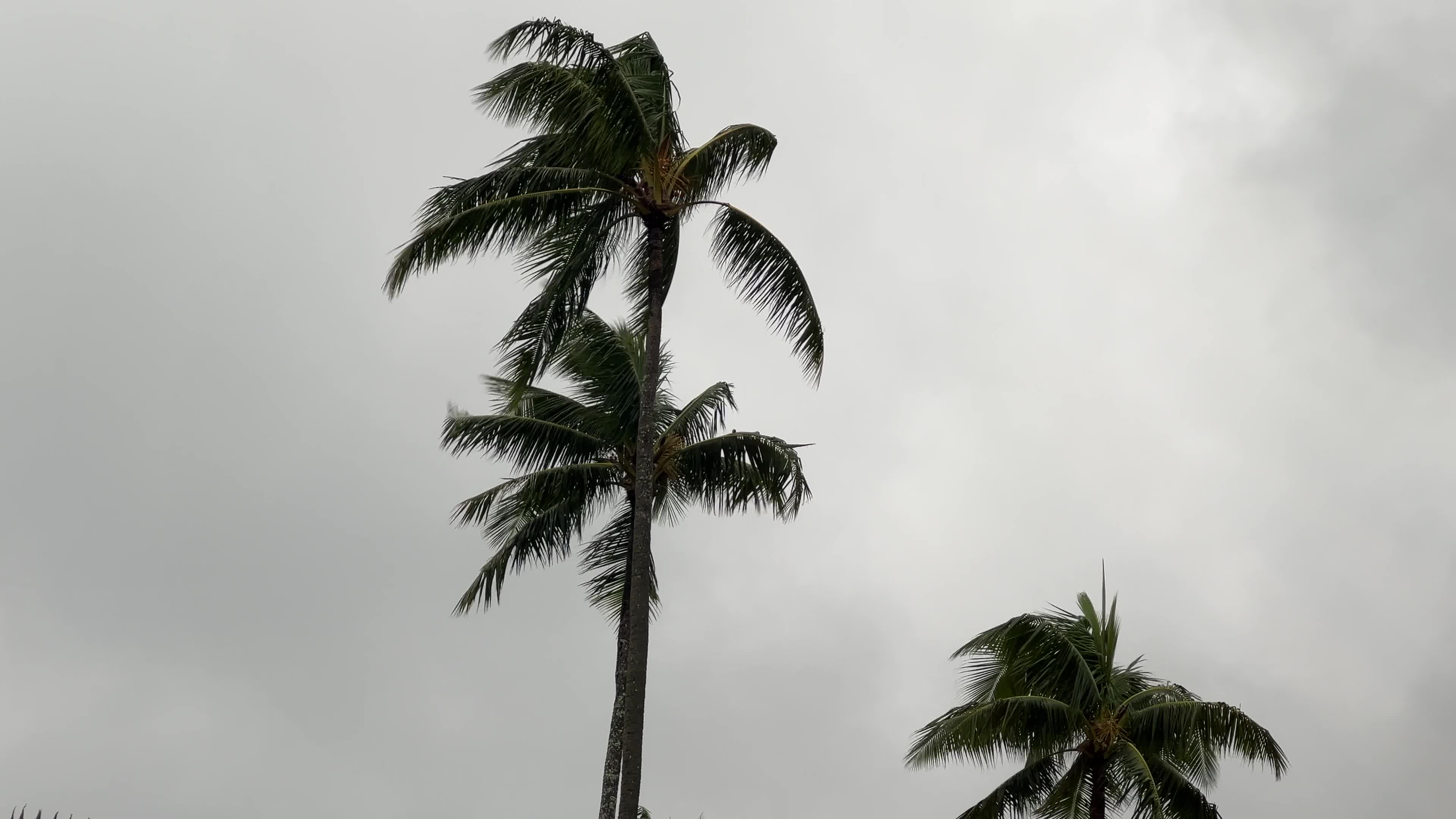 Rainy day in Motu Tevairoa