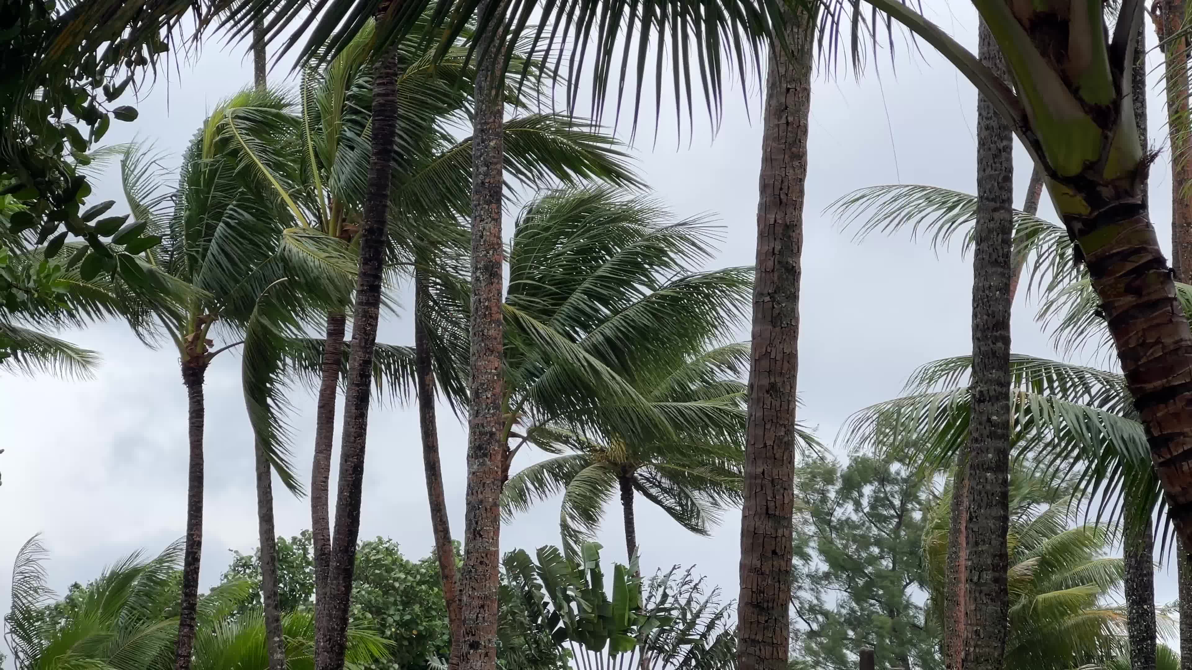 Rainy day in Motu Tevairoa