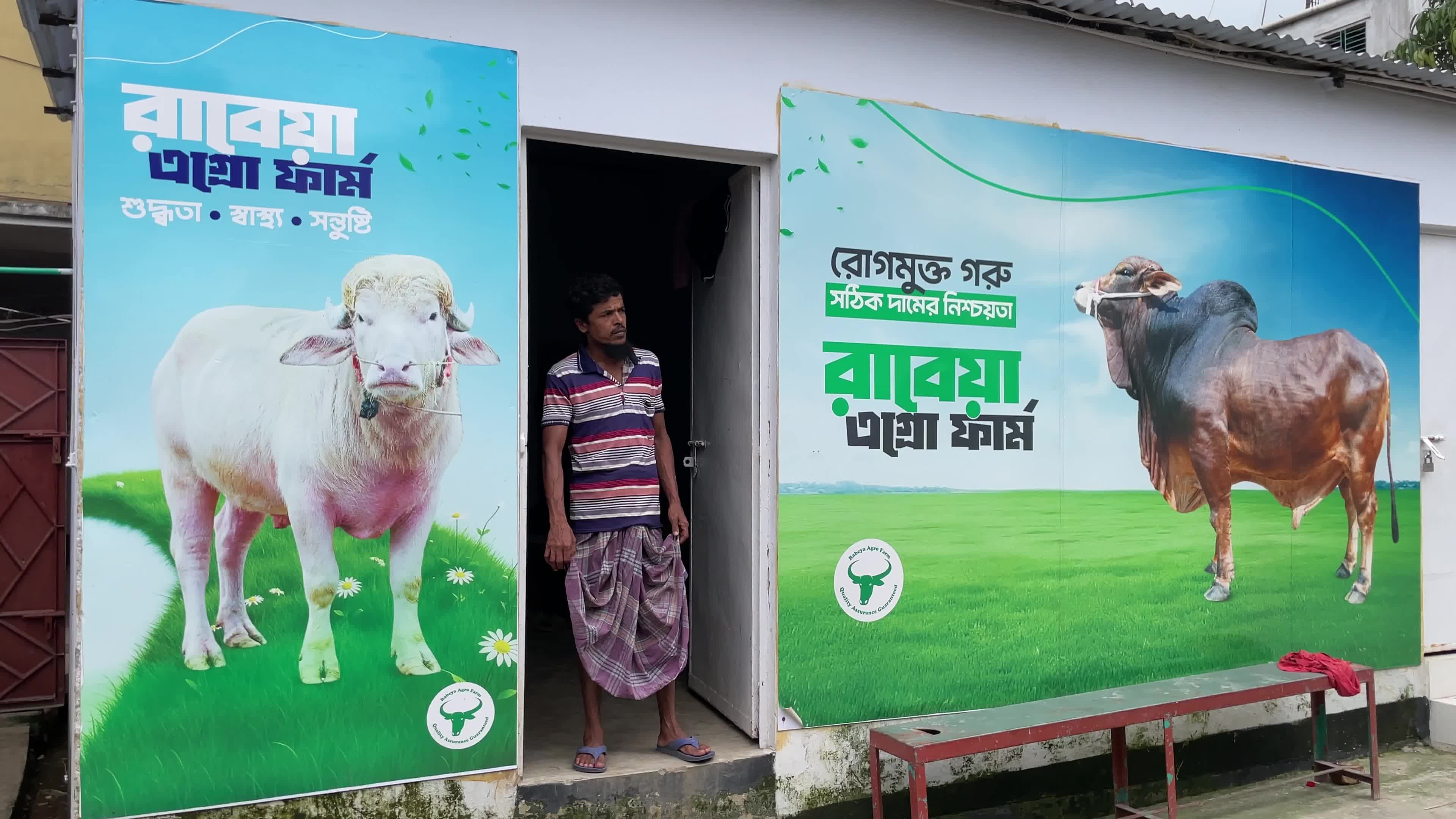 Rare Albino Buffalo Draws Crowds Ahead Of Eid Al-Adha