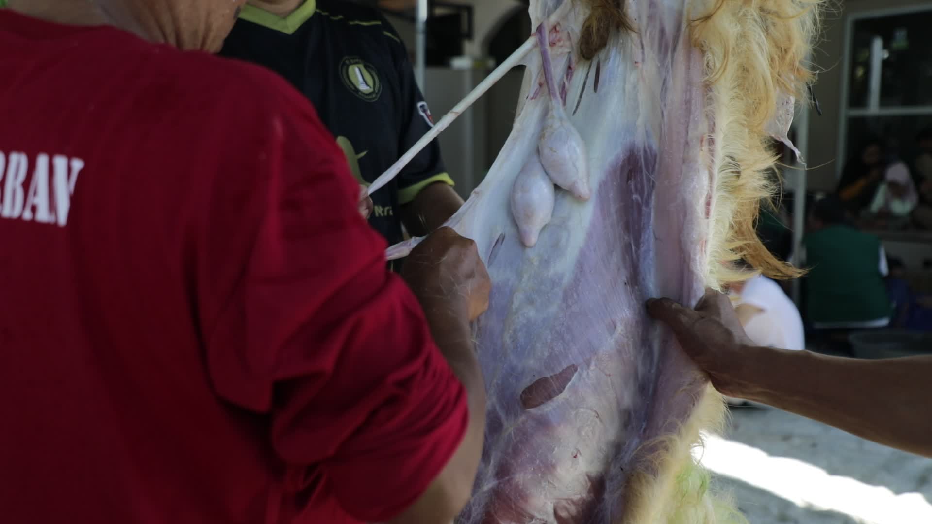 Qurban in Indonesia