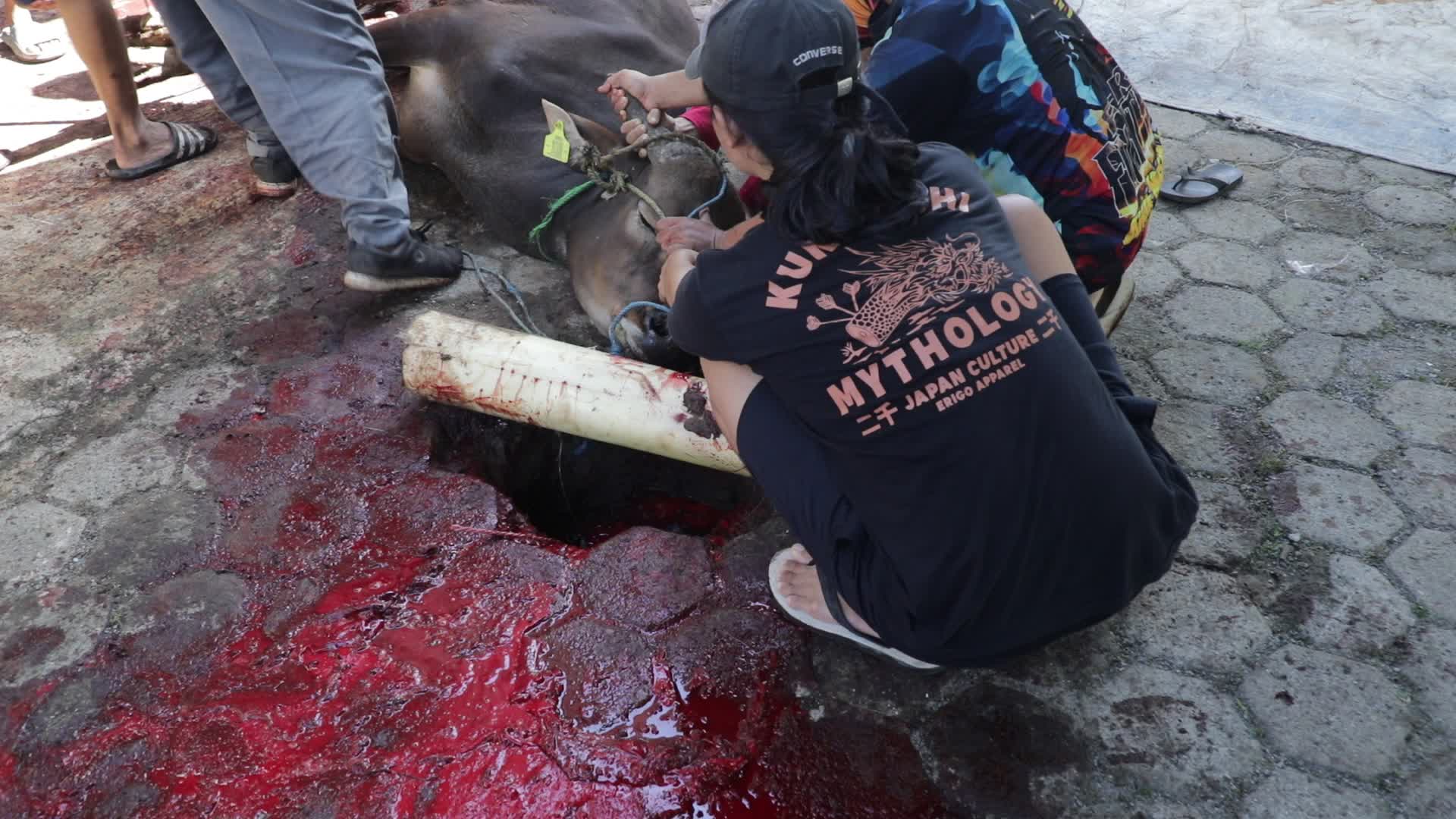 Qurban in Indonesia