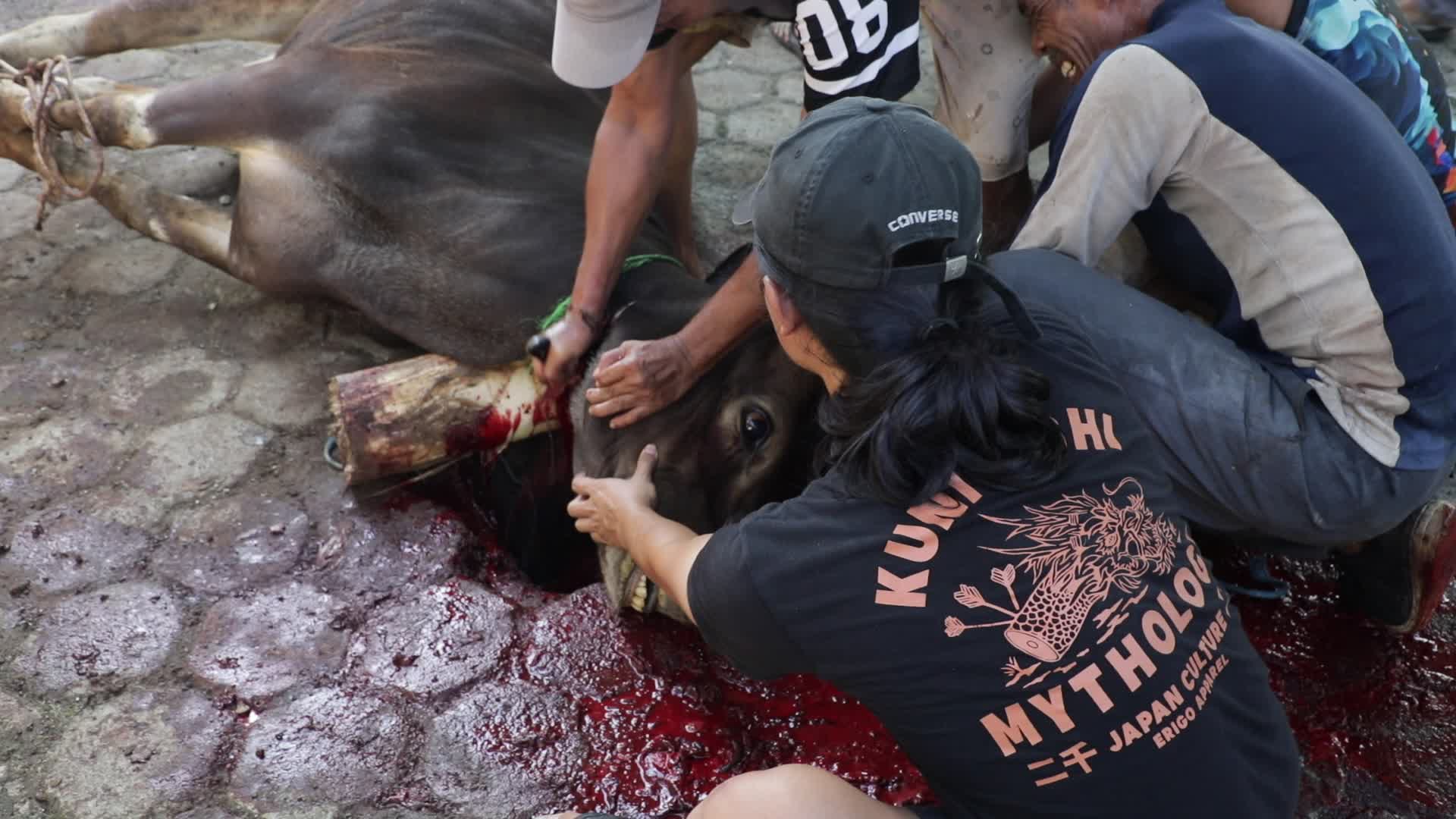 Qurban in Indonesia