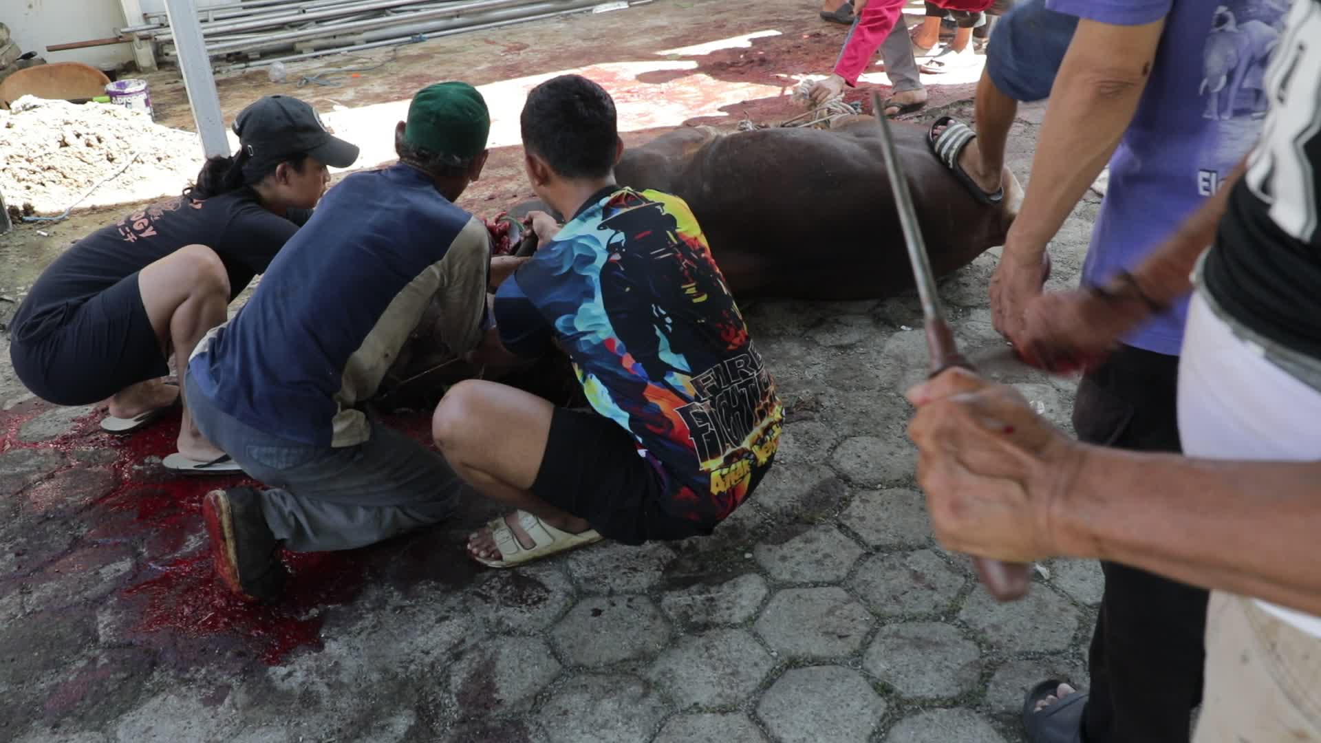 Qurban in Indonesia
