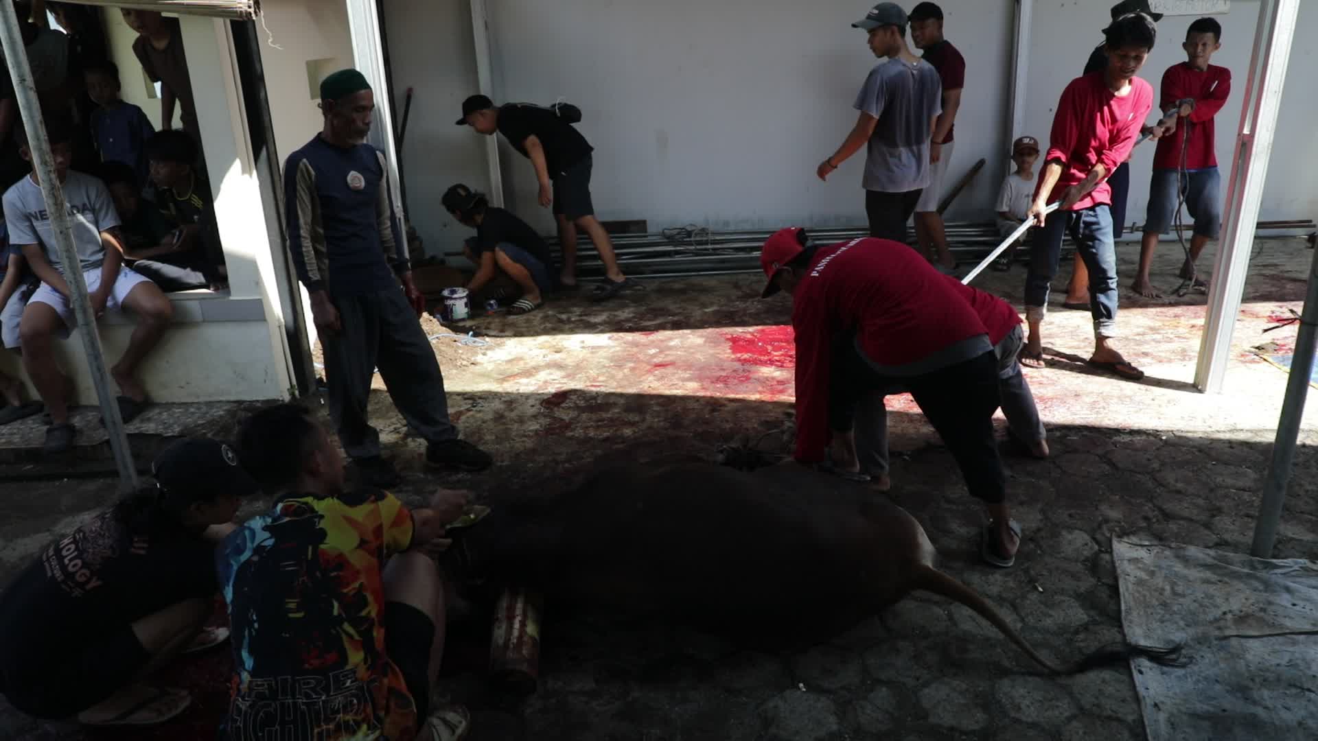Qurban in Indonesia