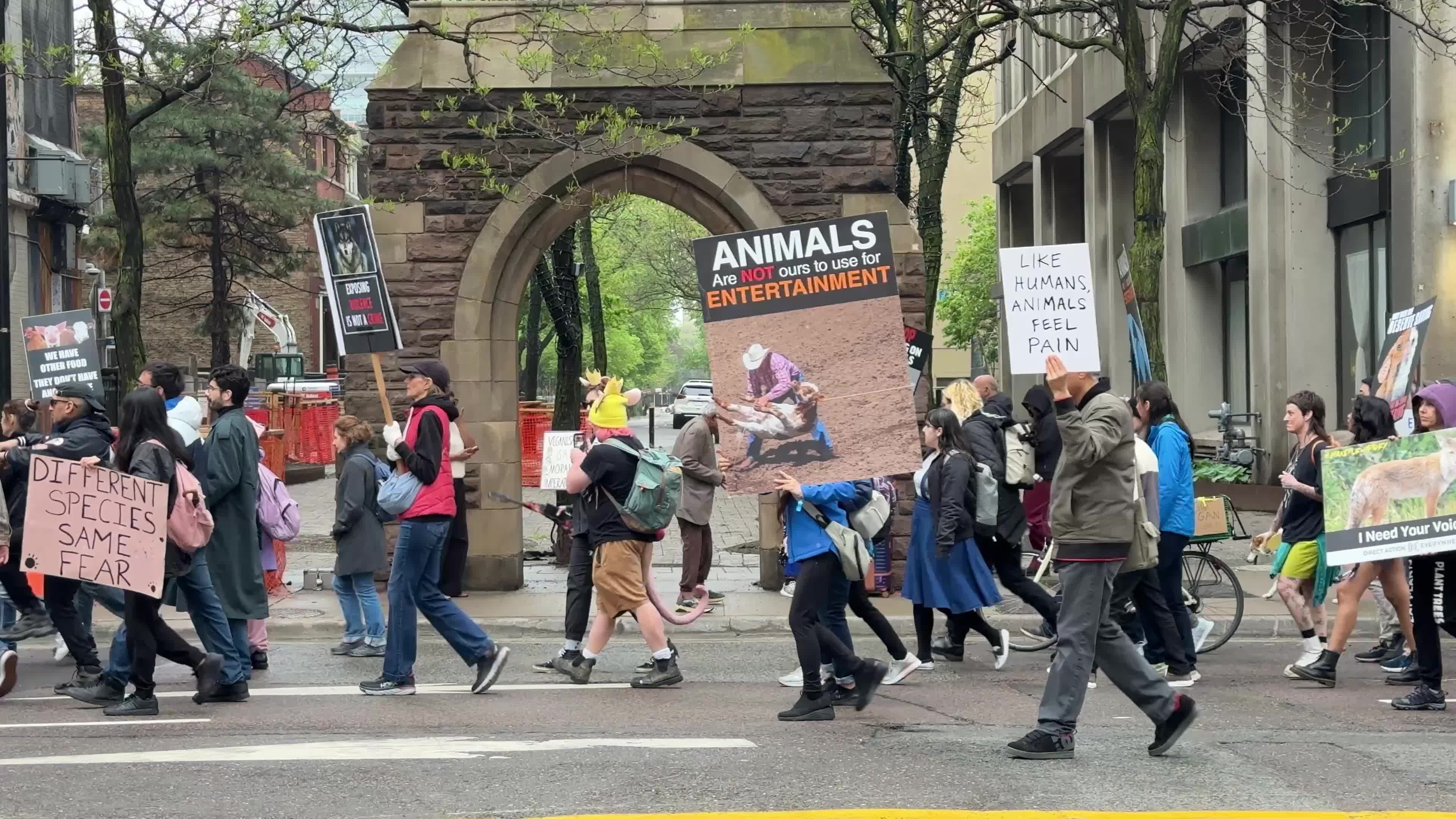Animals Rights March In Toronto, Canada