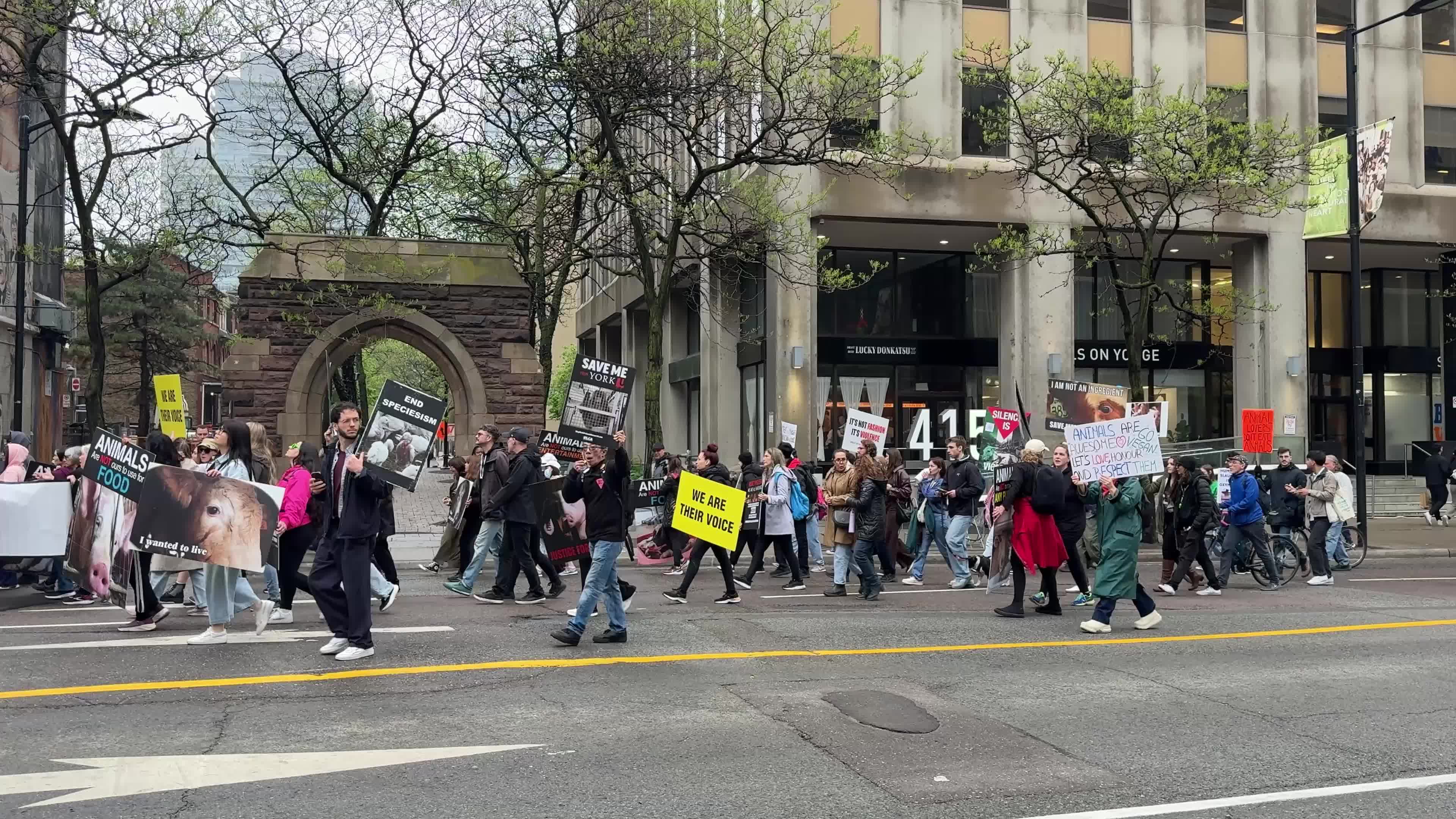 Animals Rights March In Toronto, Canada