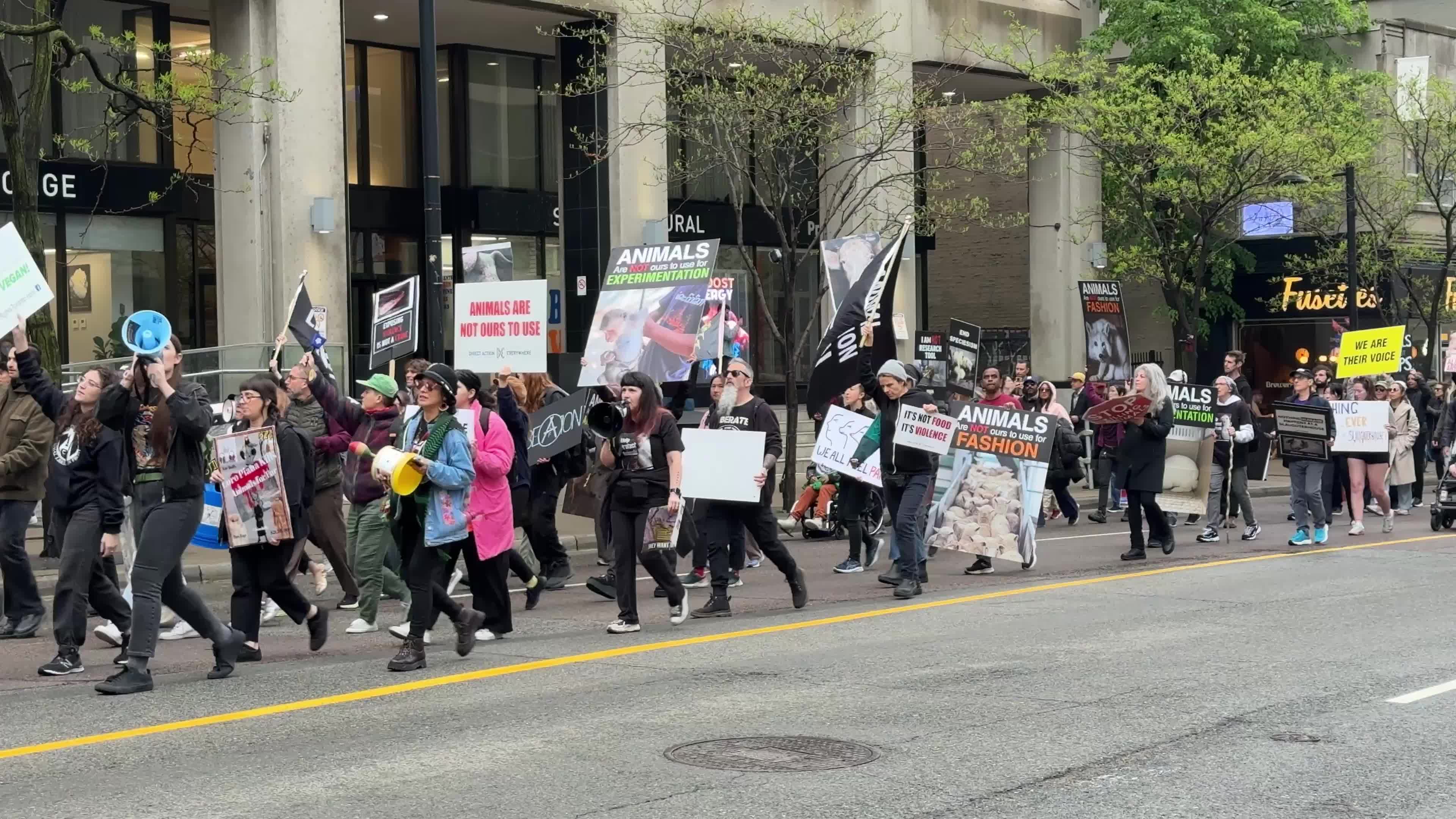 Animals Rights March In Toronto, Canada