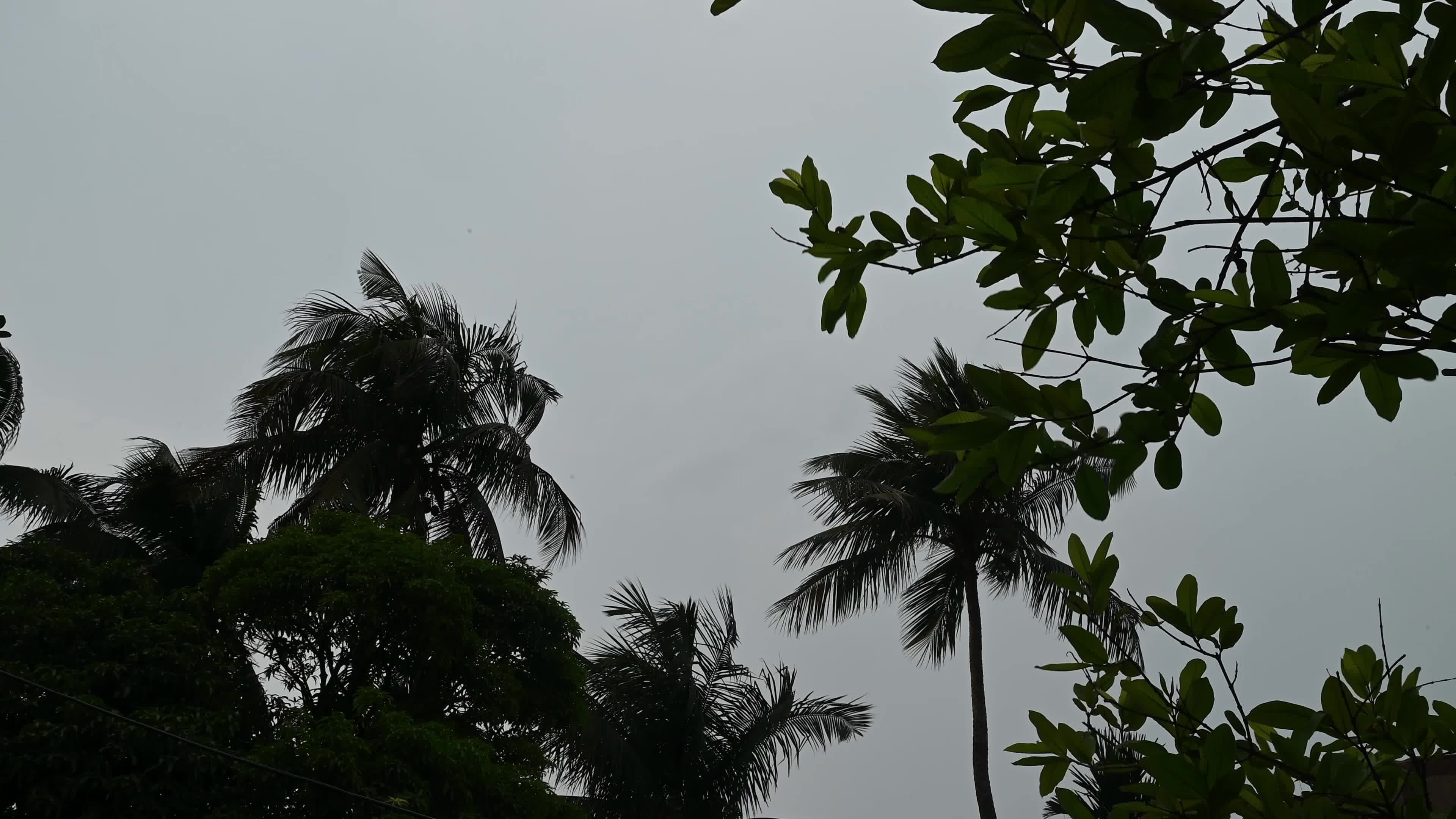 Nor'westers - Weather India - Heatwave in India