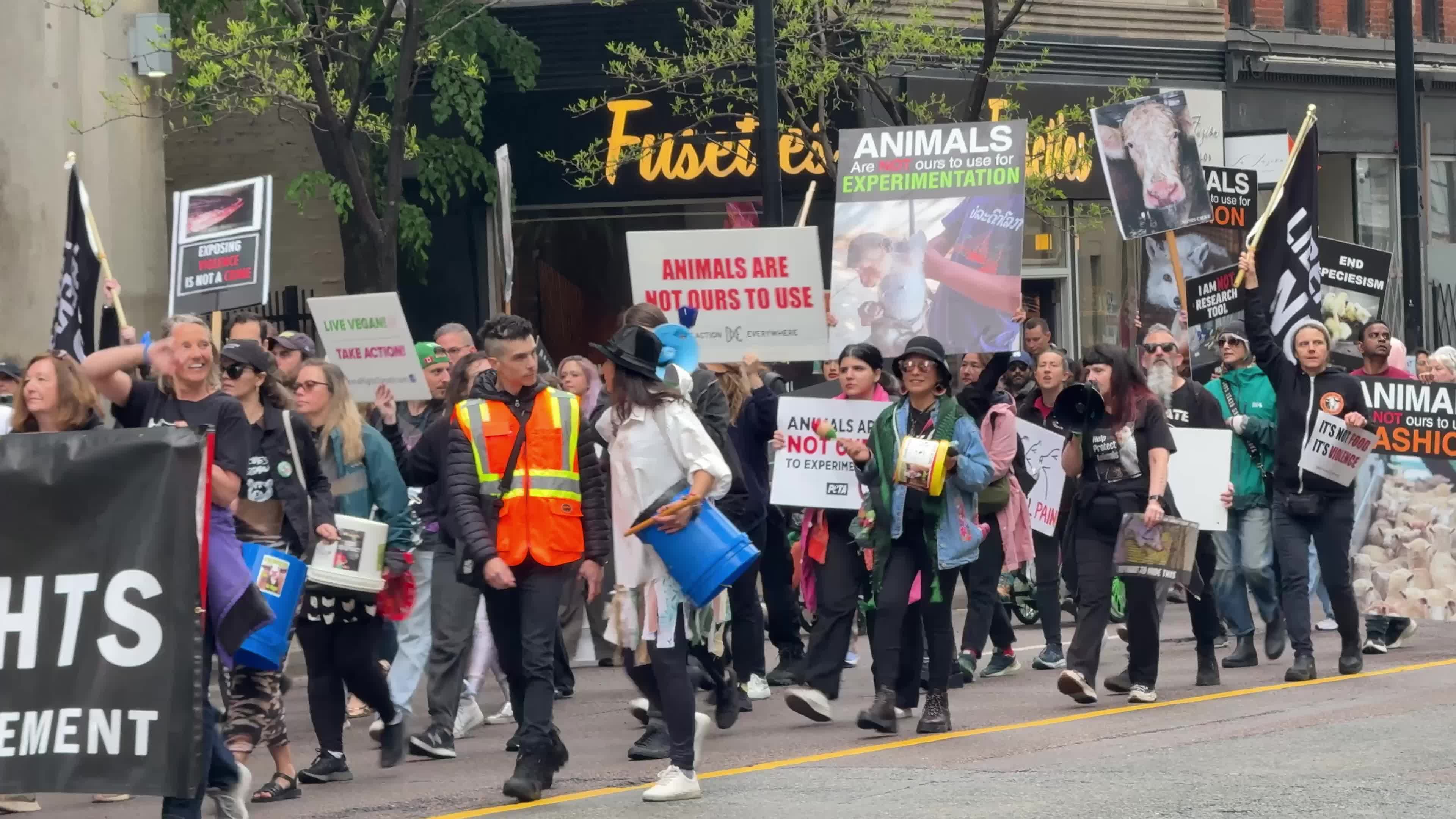 Animals Rights March In Toronto, Canada